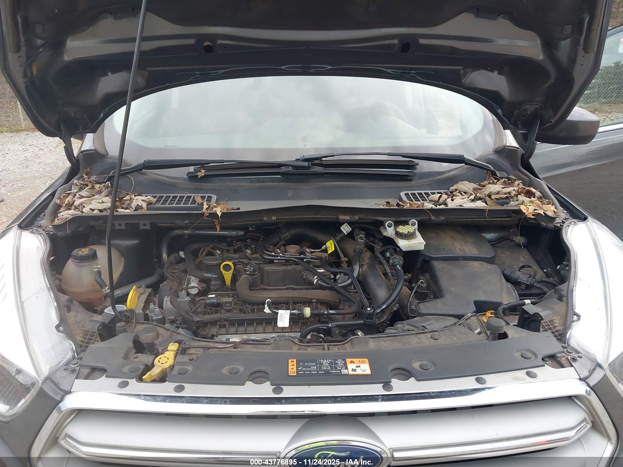 FORD ESCAPE image 10