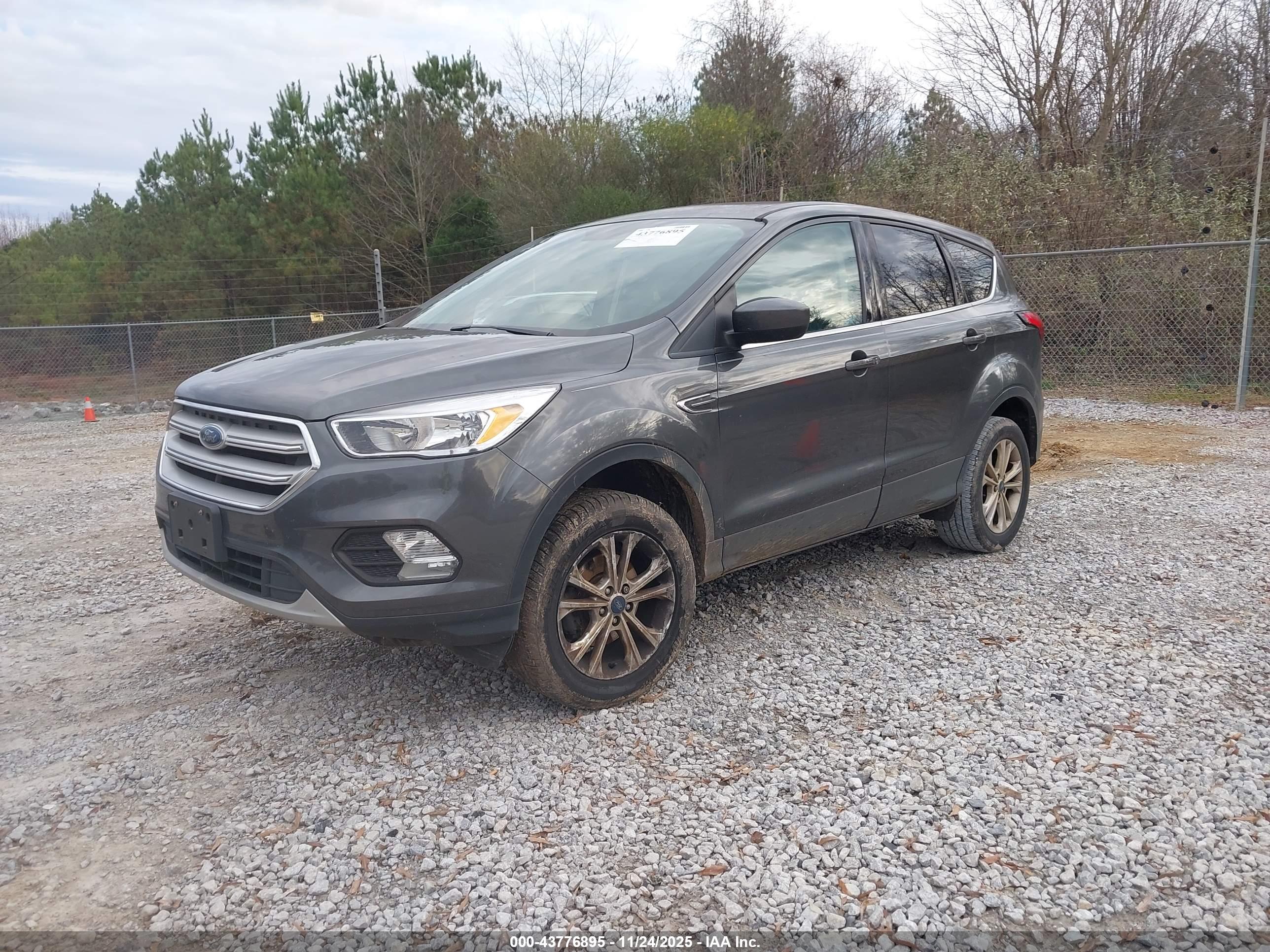FORD ESCAPE image 2