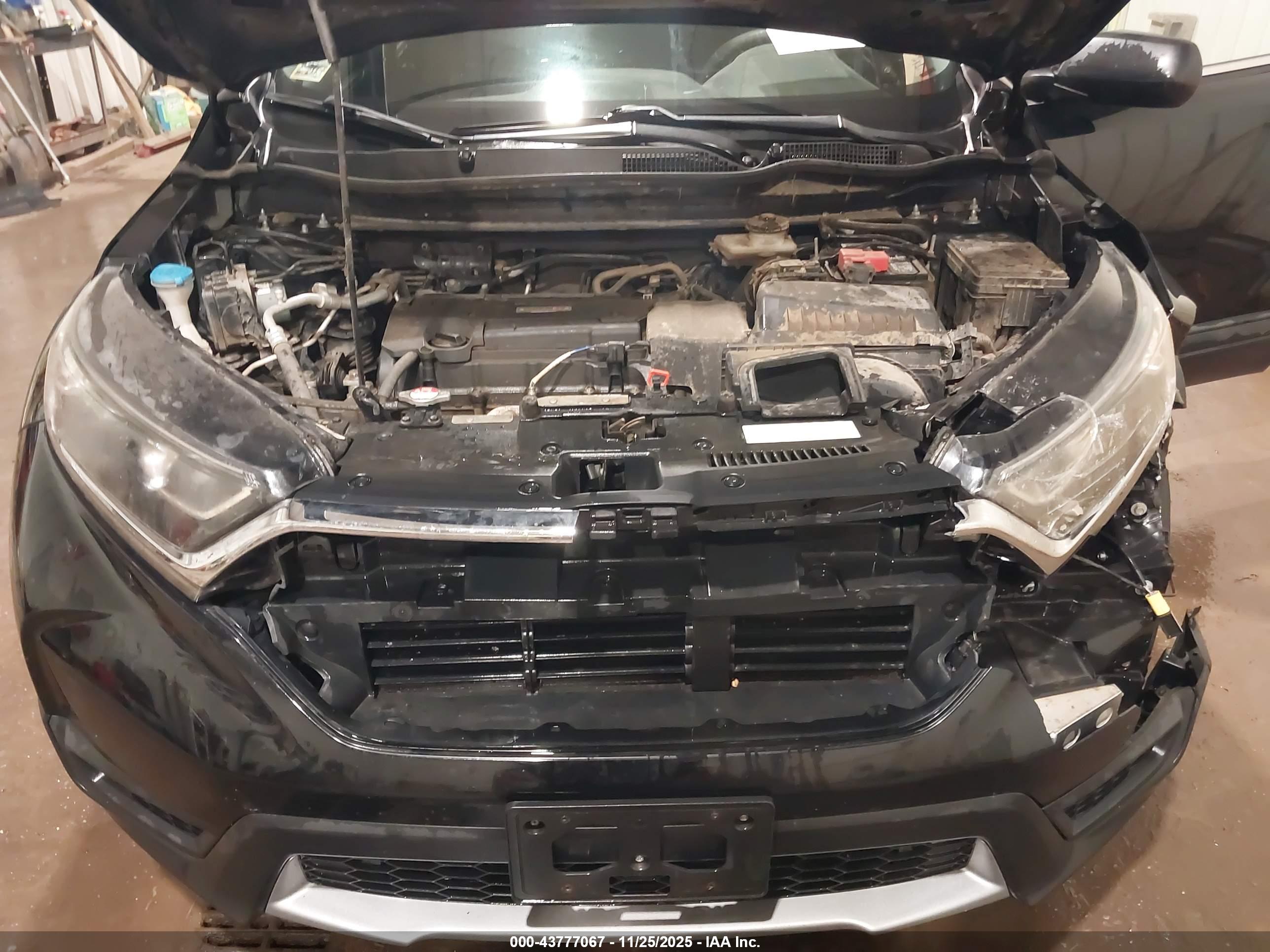 HONDA CR-V image 10