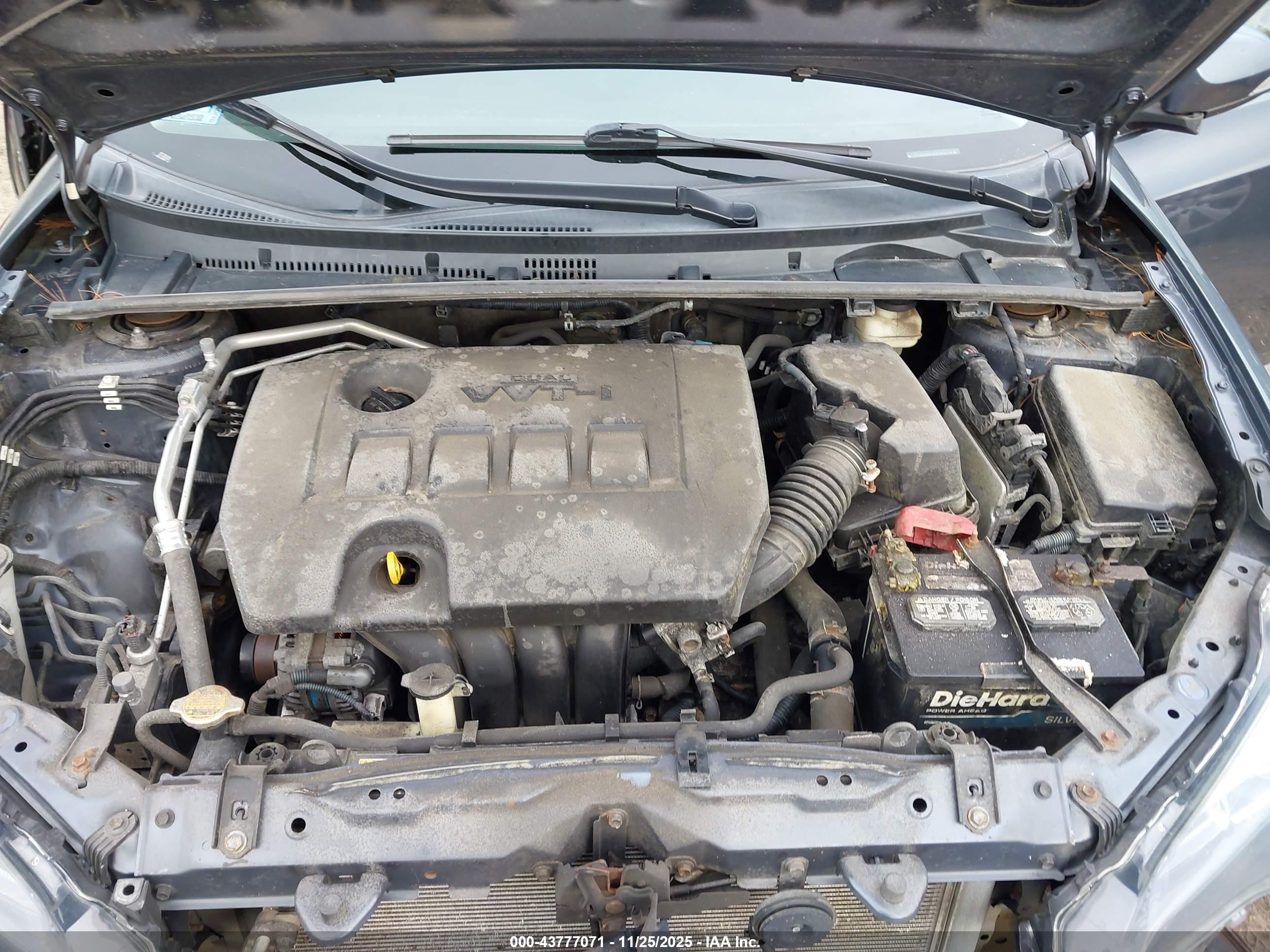 TOYOTA COROLLA image 10