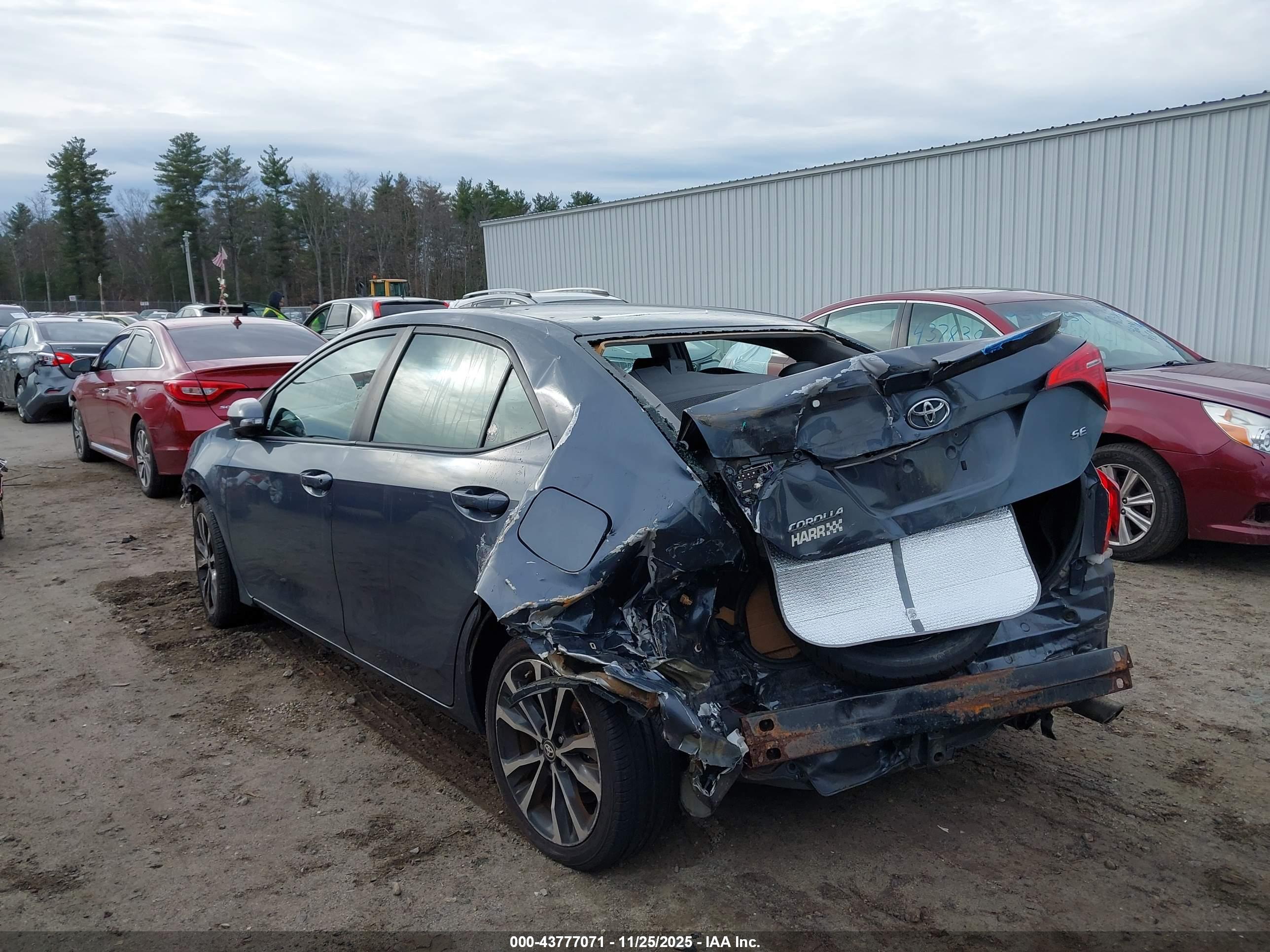 TOYOTA COROLLA image 3