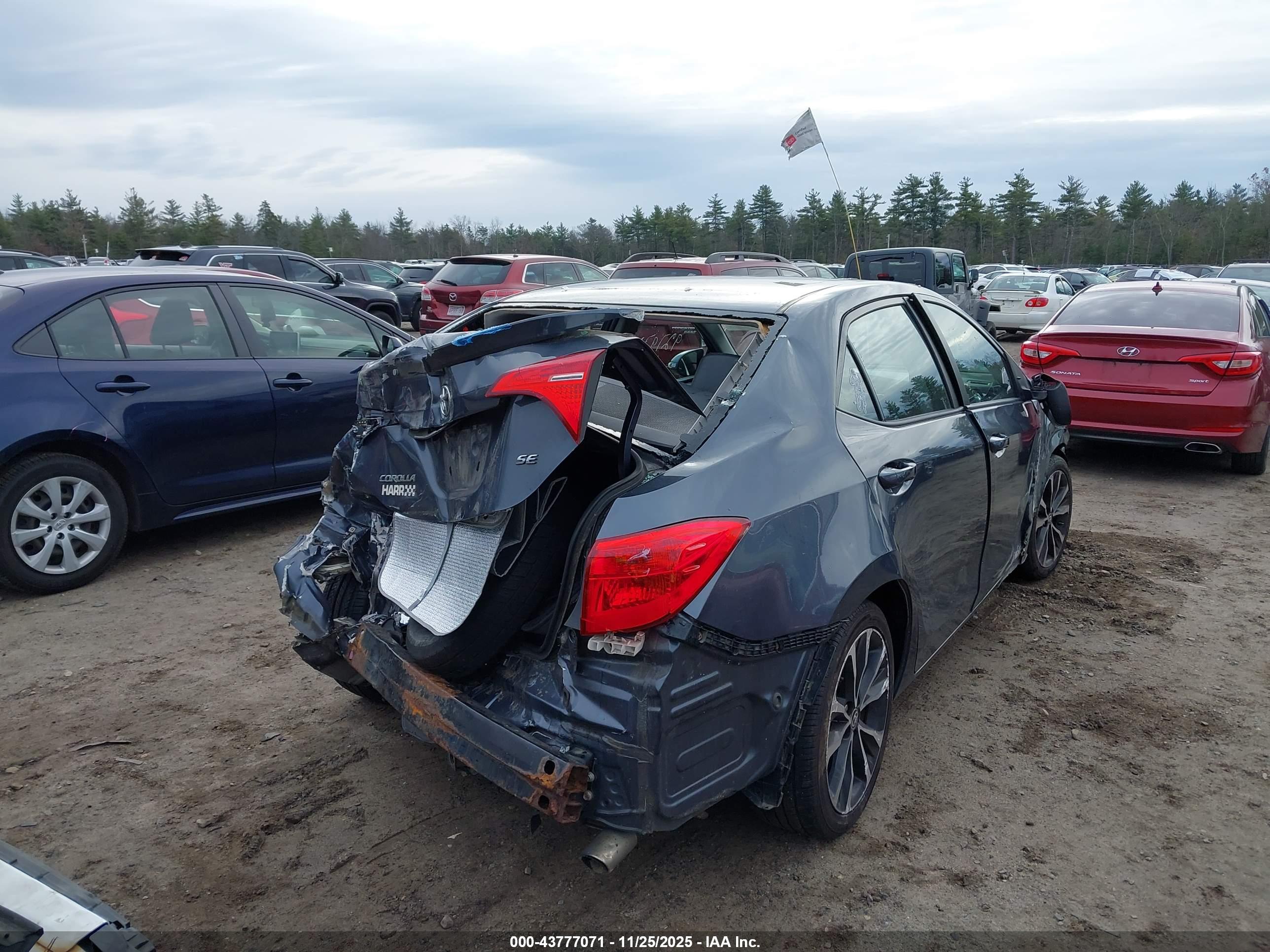 TOYOTA COROLLA image 4