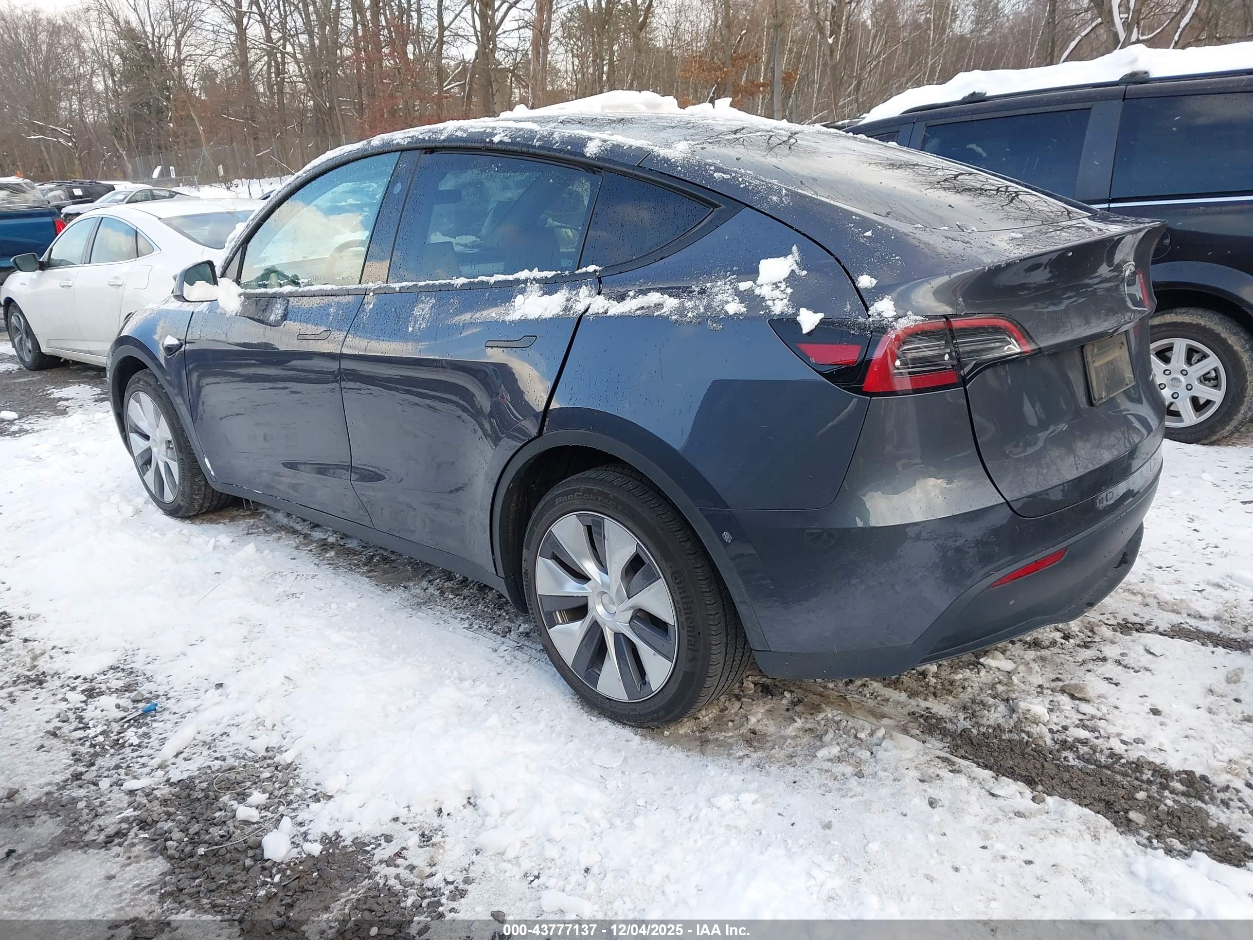 TESLA MODEL image 3