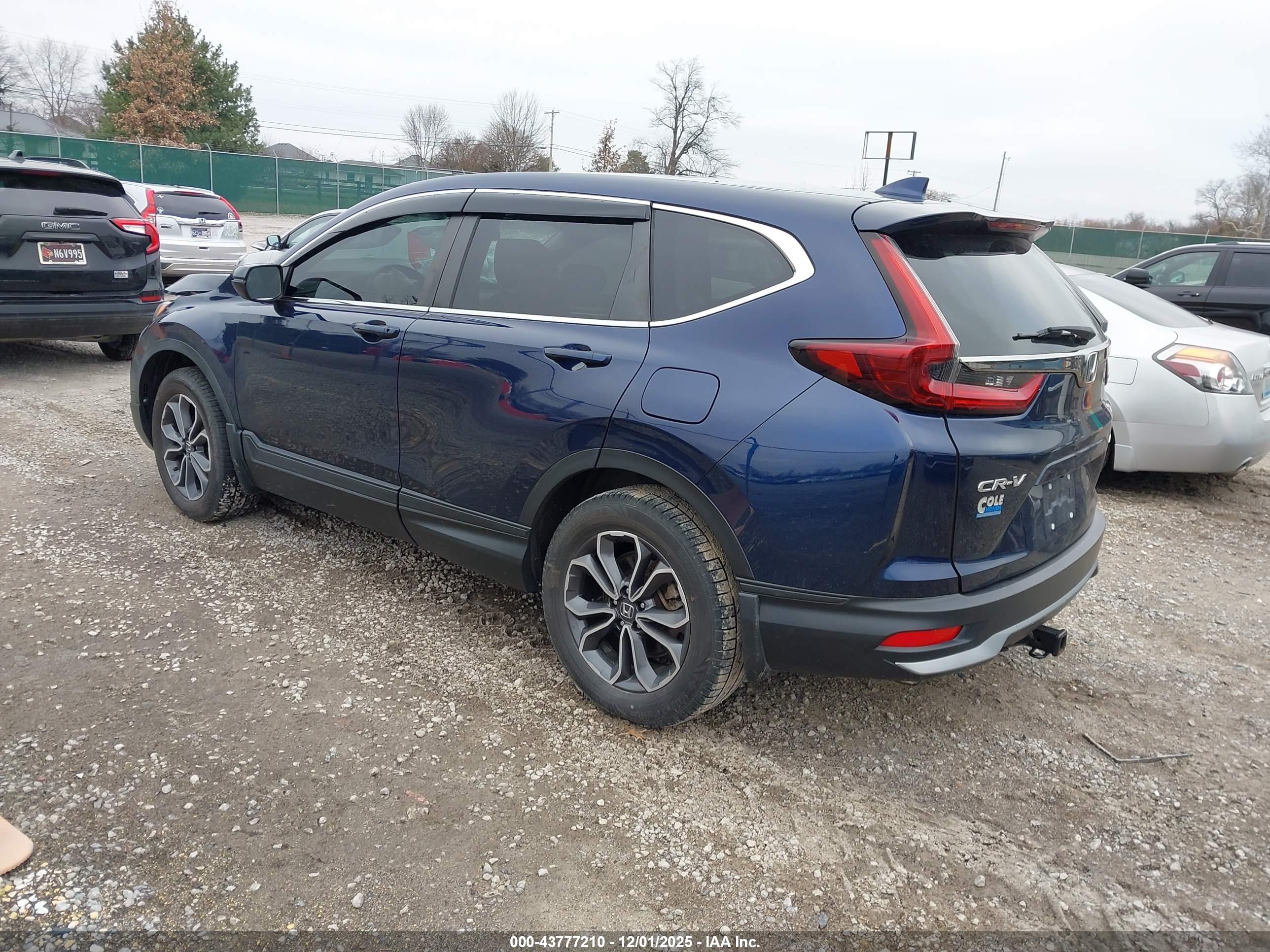 HONDA CR-V image 3
