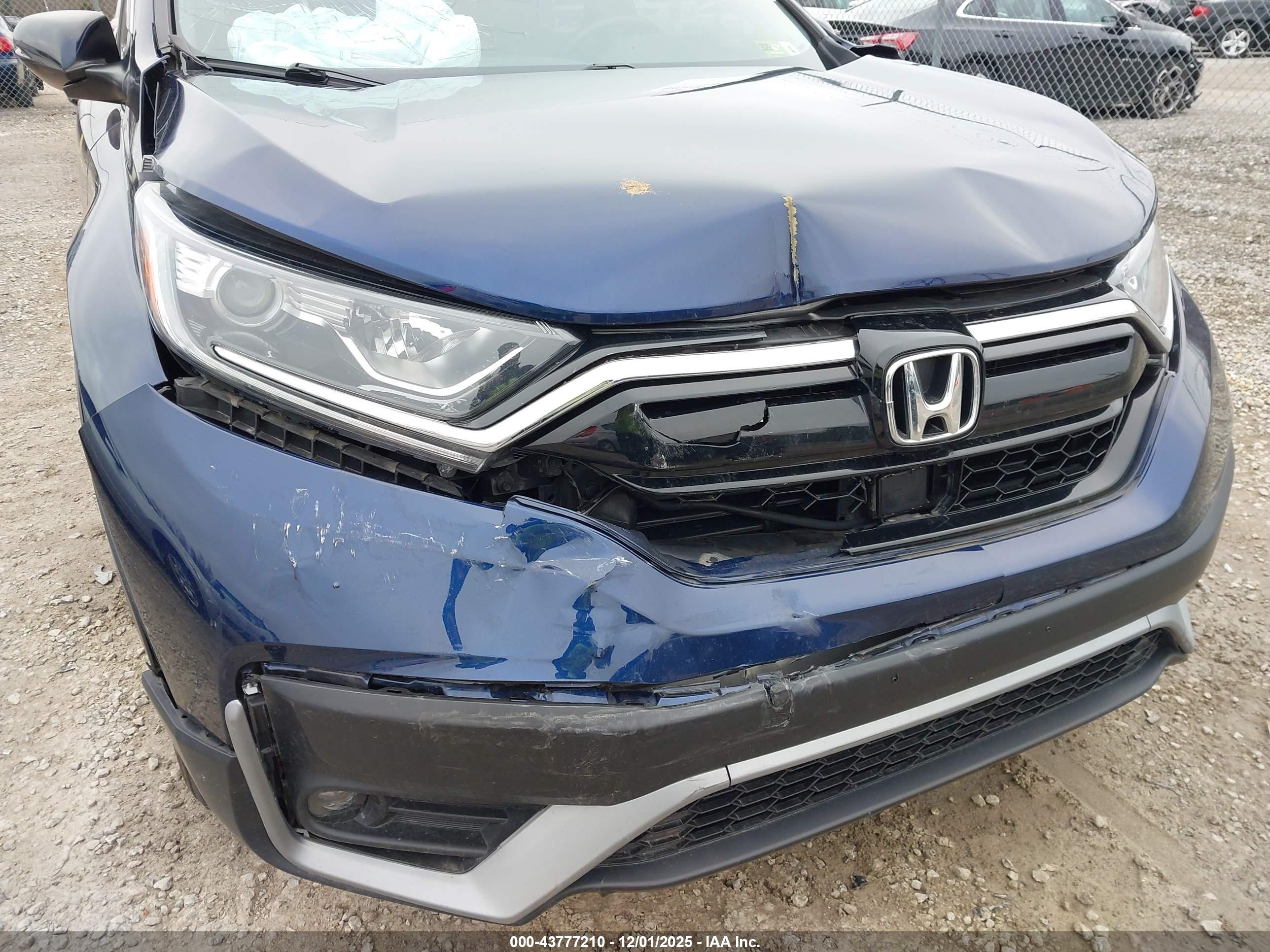 HONDA CR-V image 6