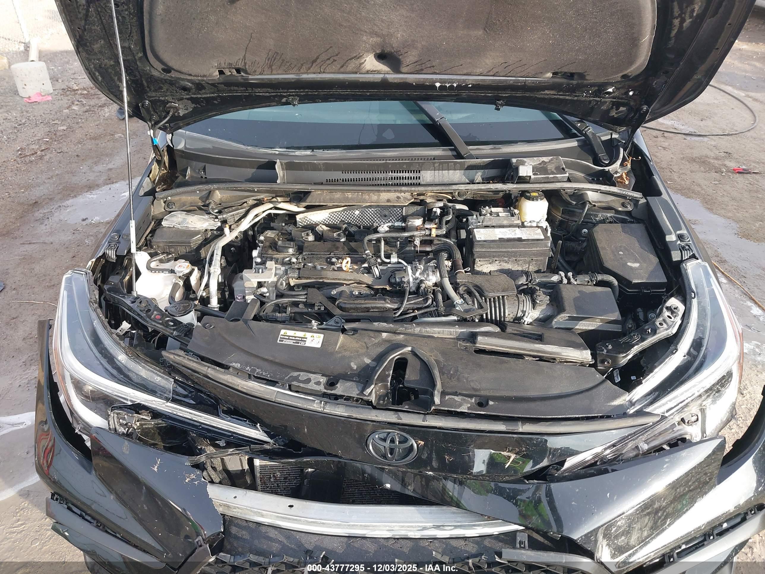 TOYOTA COROLLA image 10