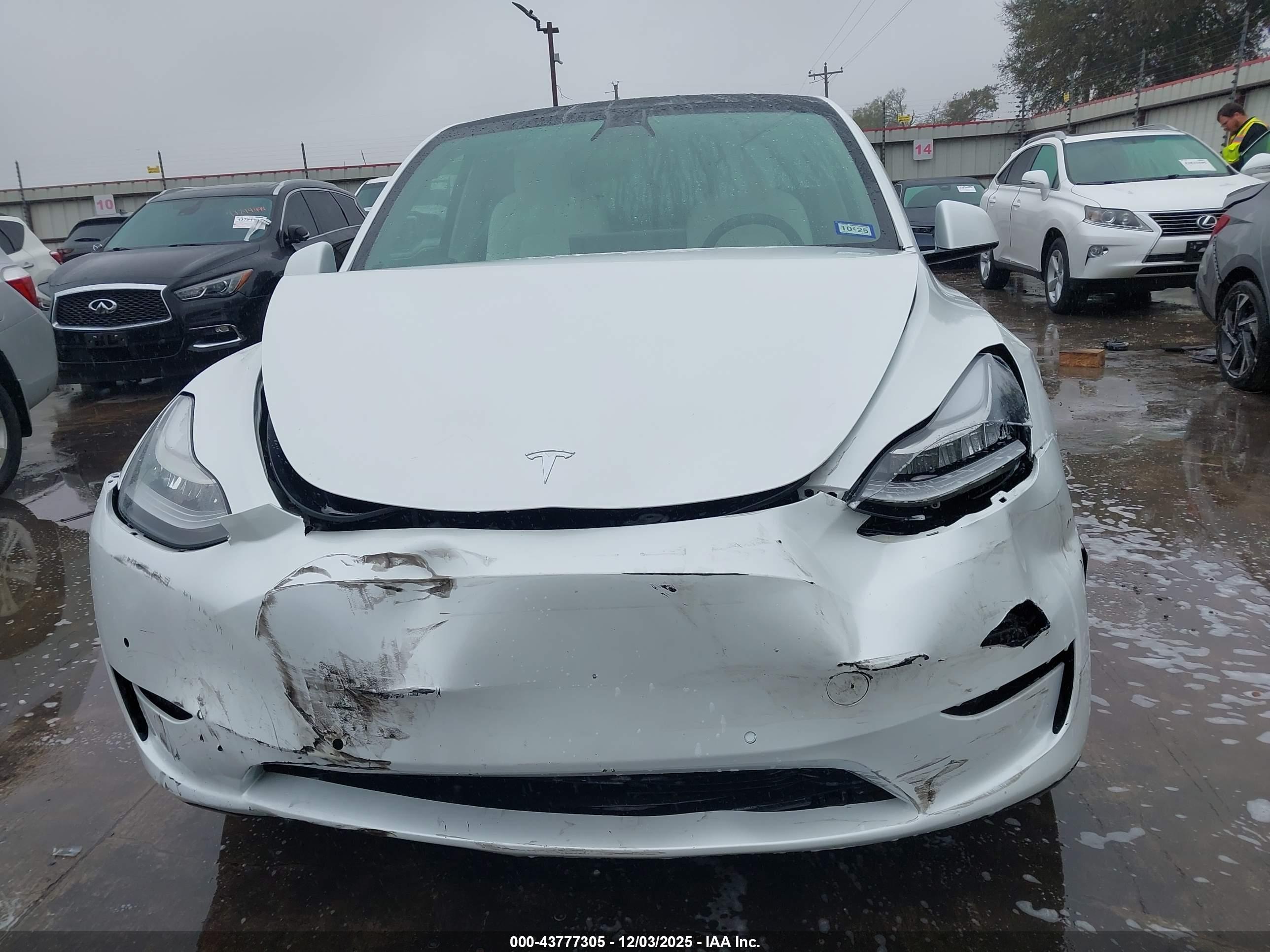 TESLA MODEL image 6