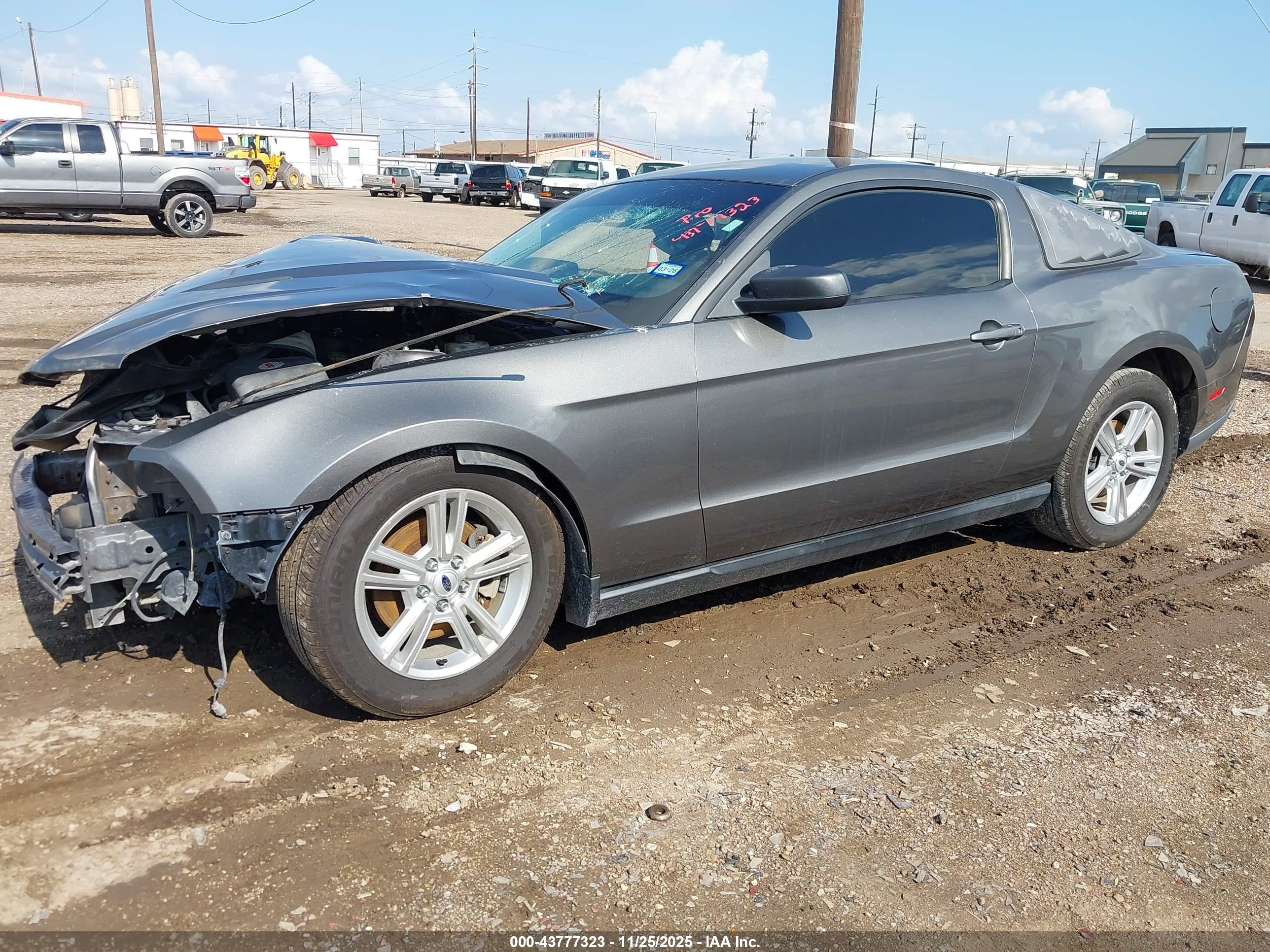 FORD MUSTANG image 2