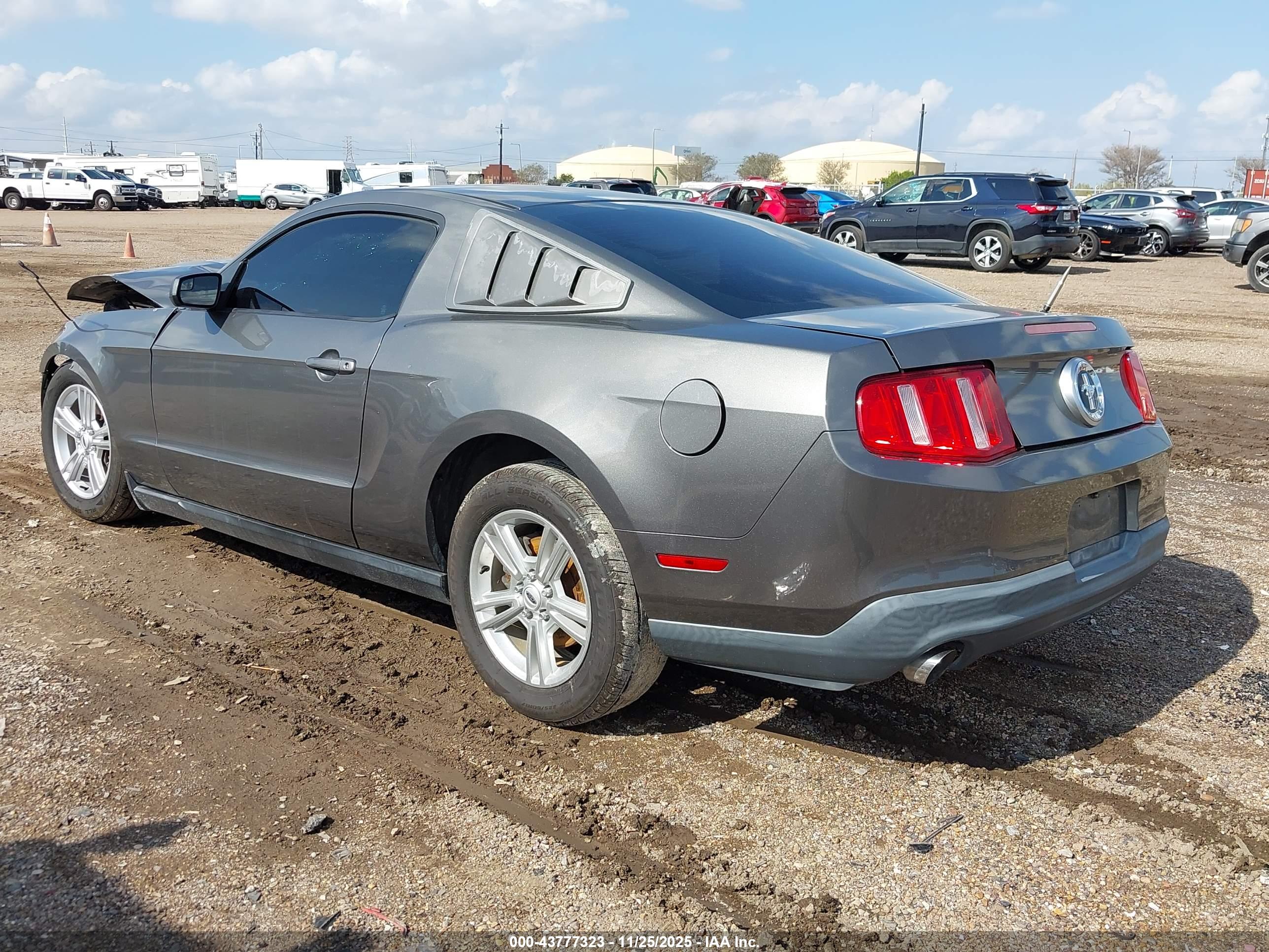FORD MUSTANG image 3