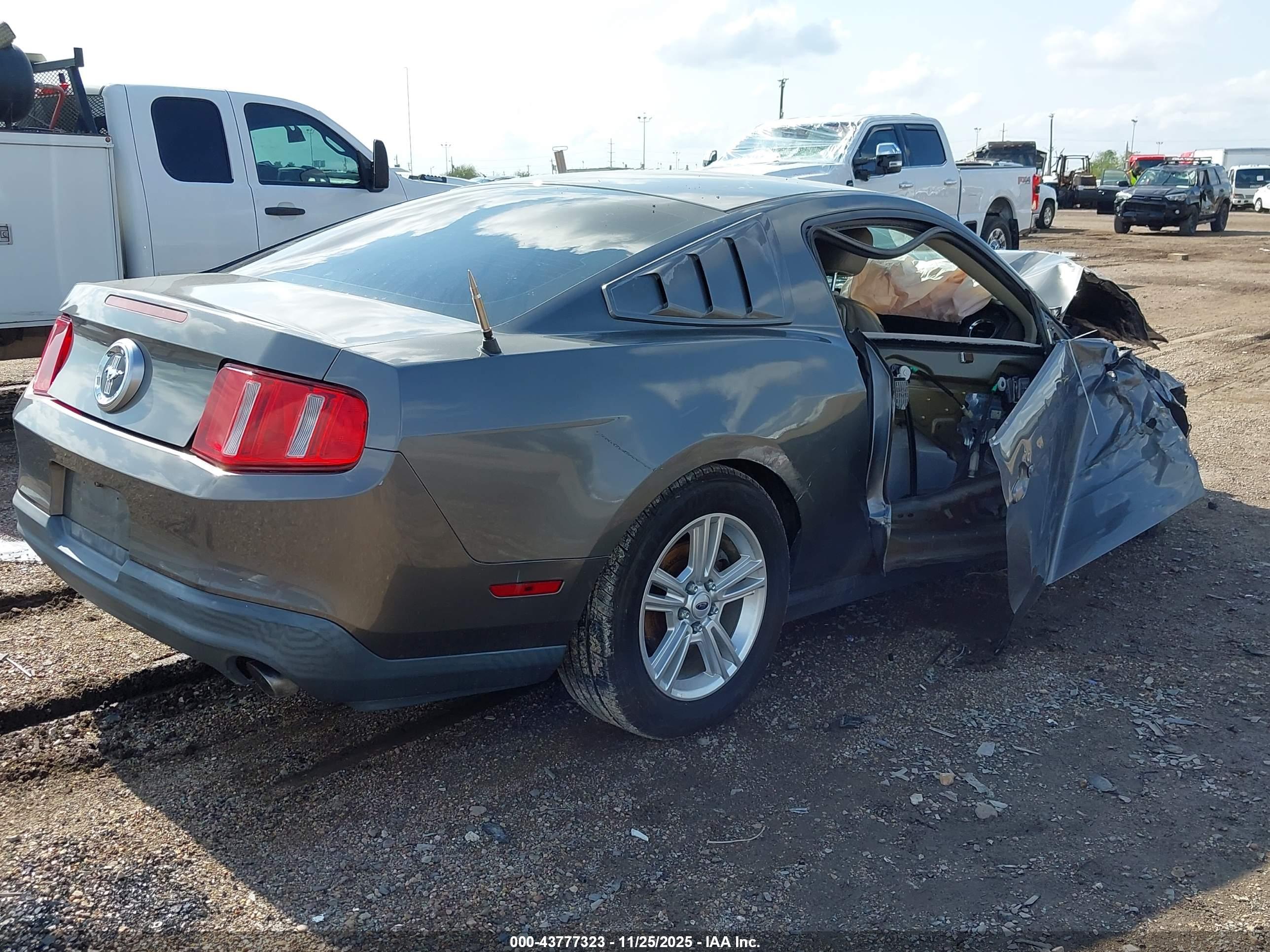 FORD MUSTANG image 4