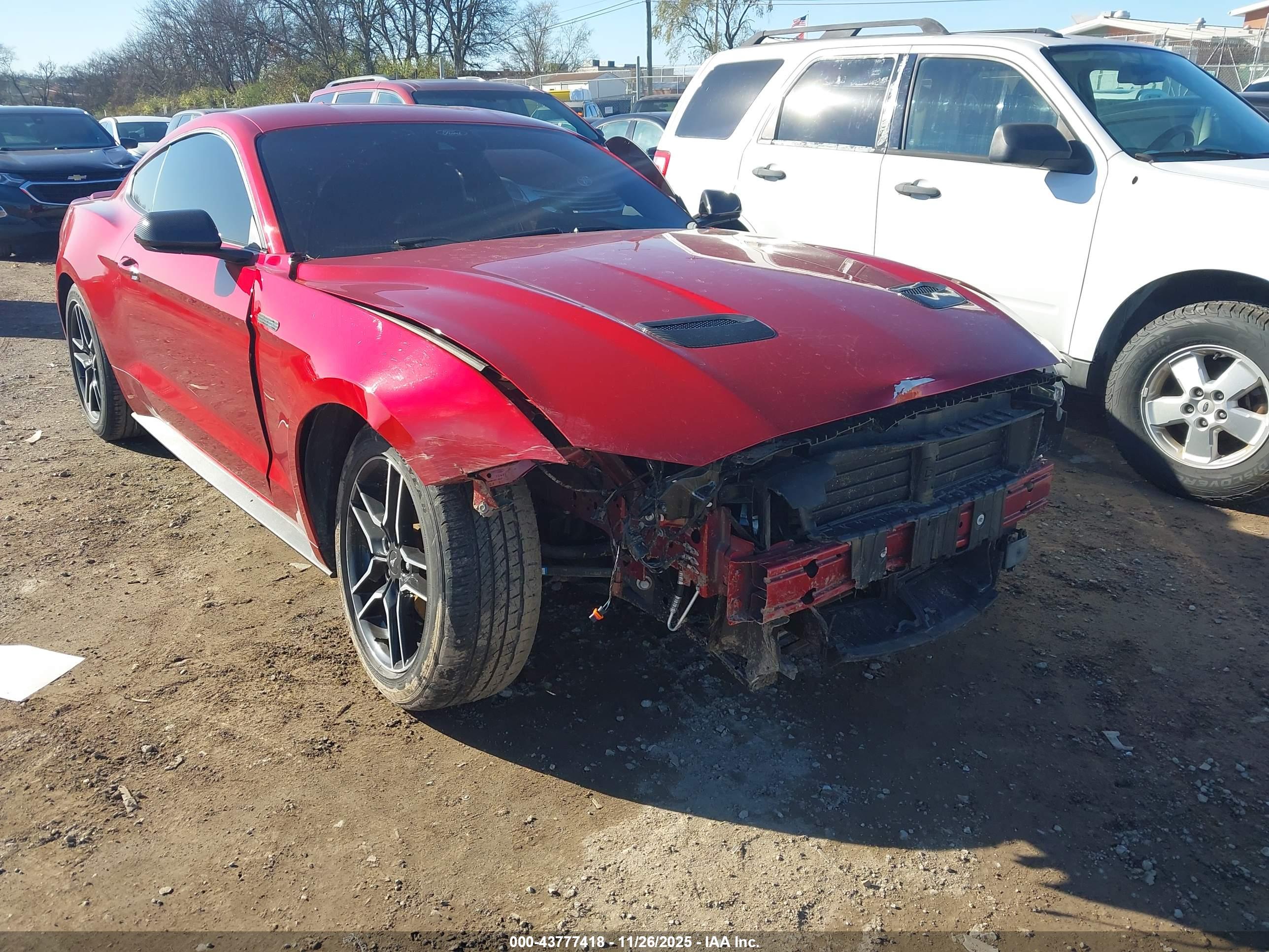 FORD MUSTANG image 6