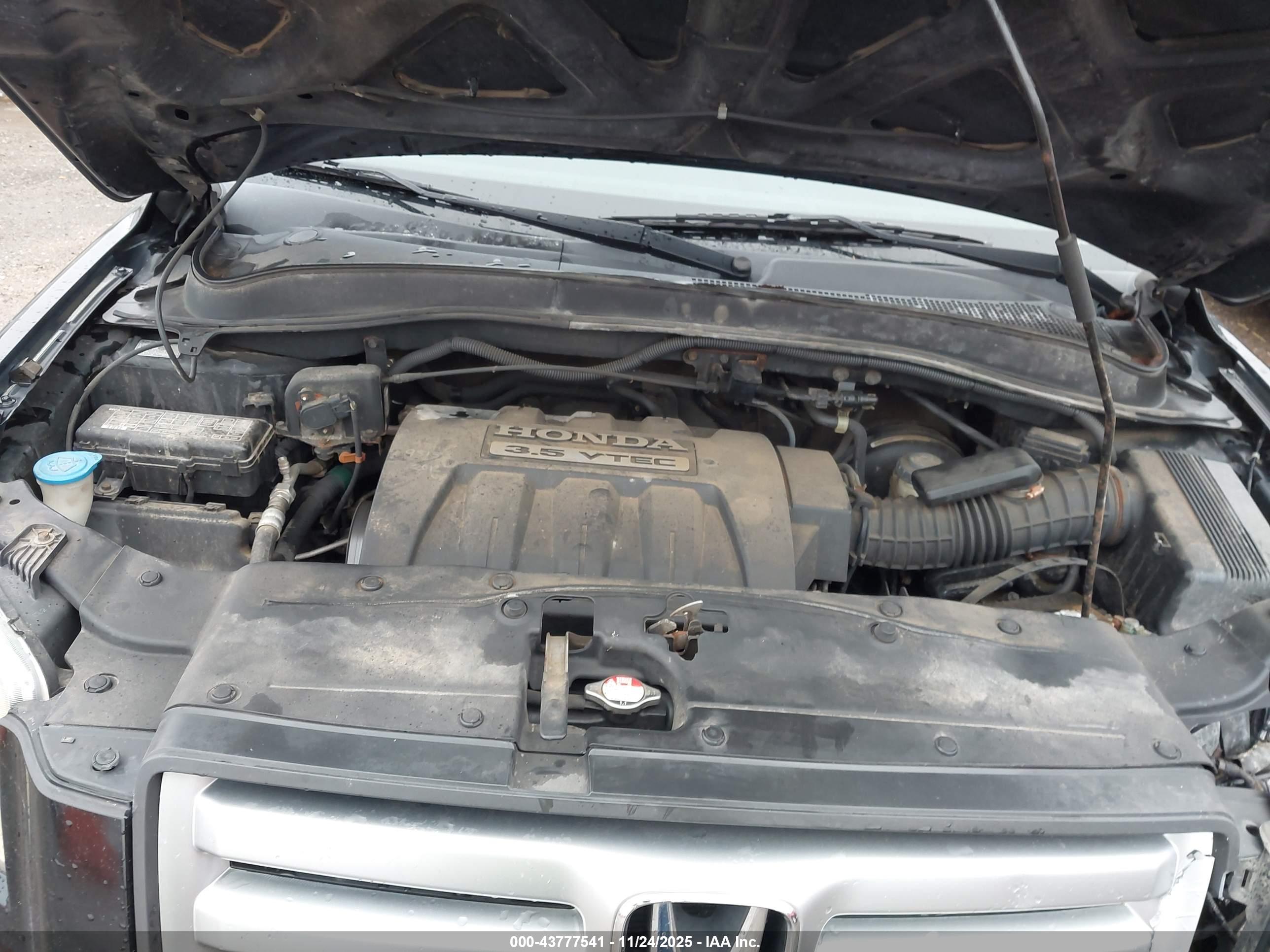 HONDA PILOT image 10