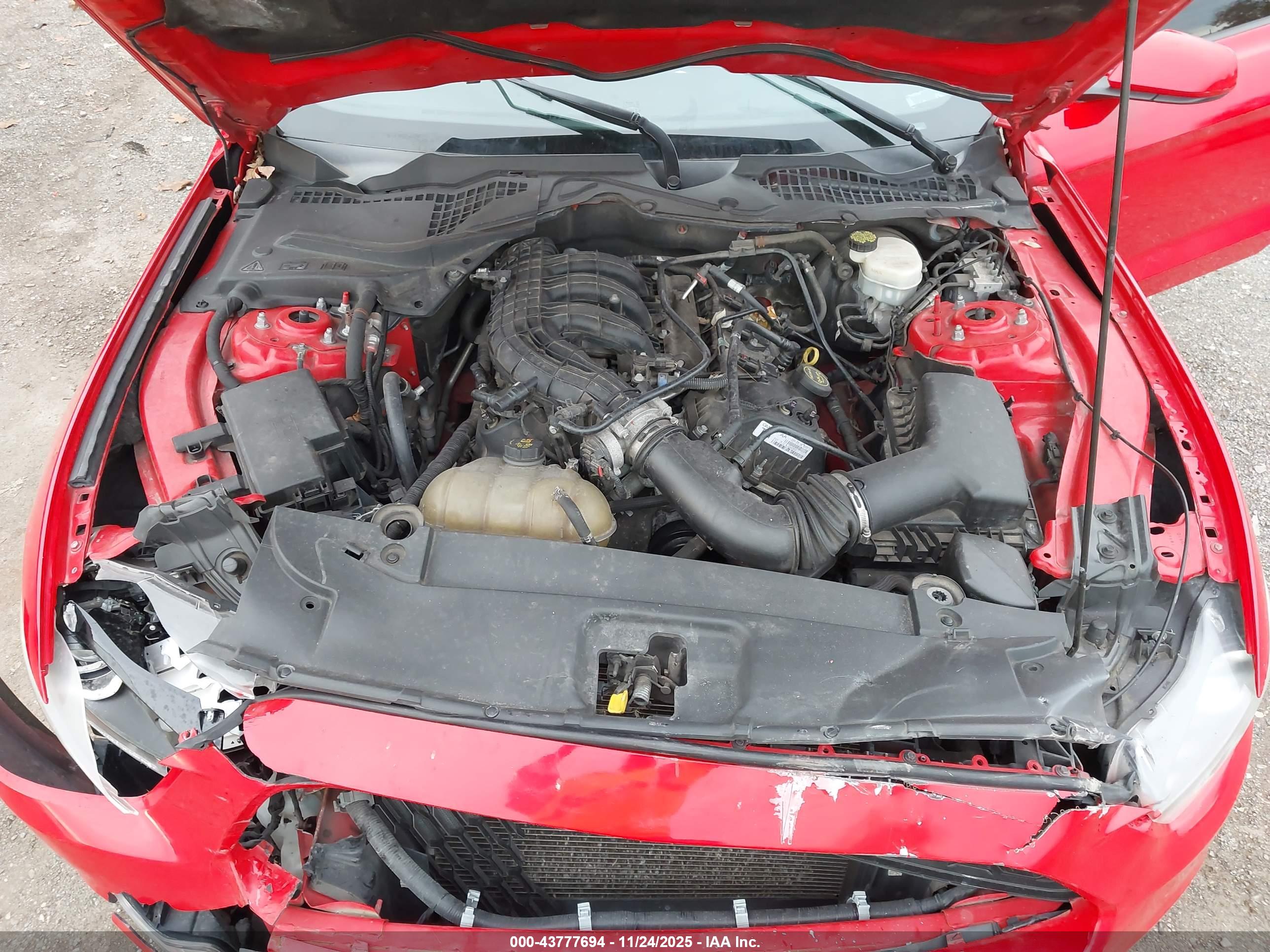 FORD MUSTANG image 10