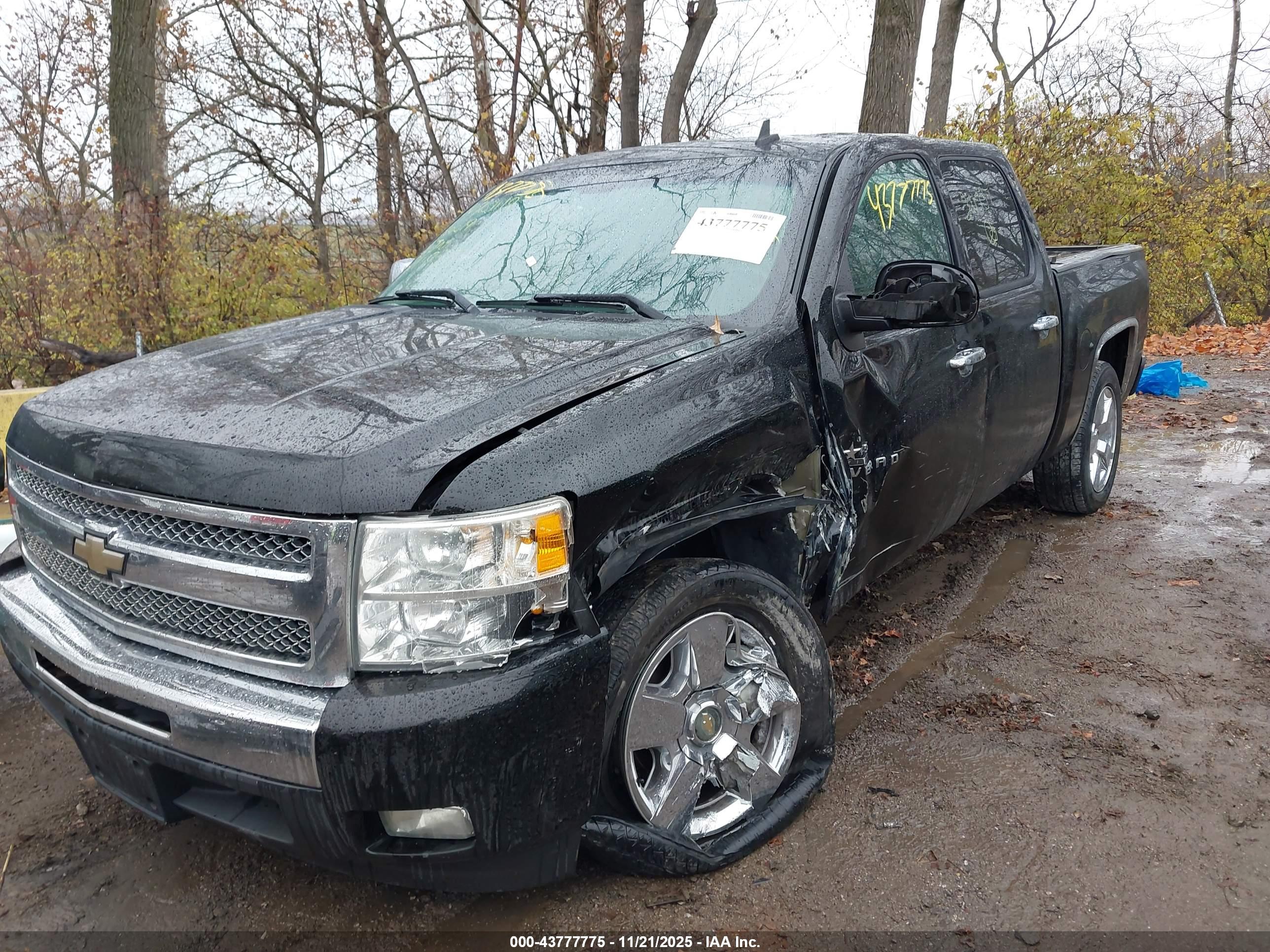 CHEVROLET SILVERADO image 6