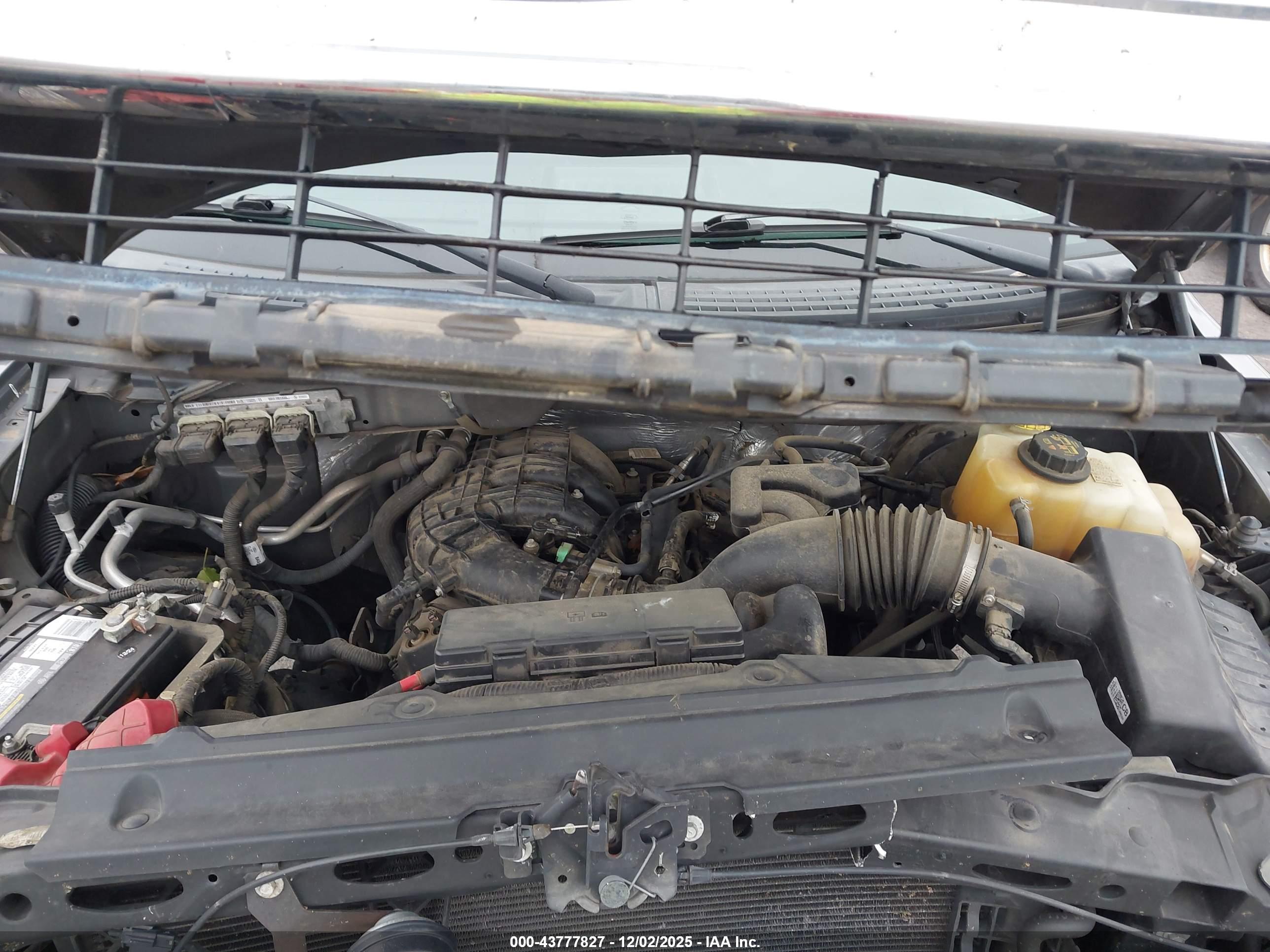 FORD F-150 image 10