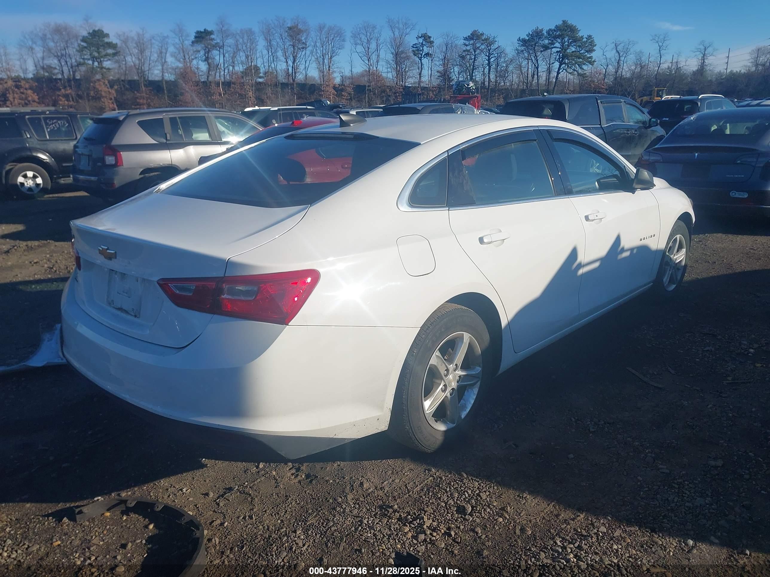 CHEVROLET MALIBU image 4