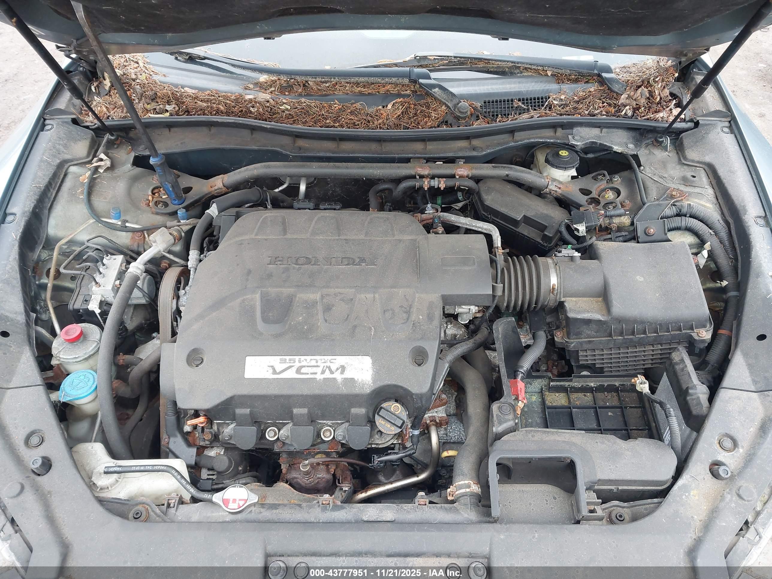 HONDA ACCORD image 10