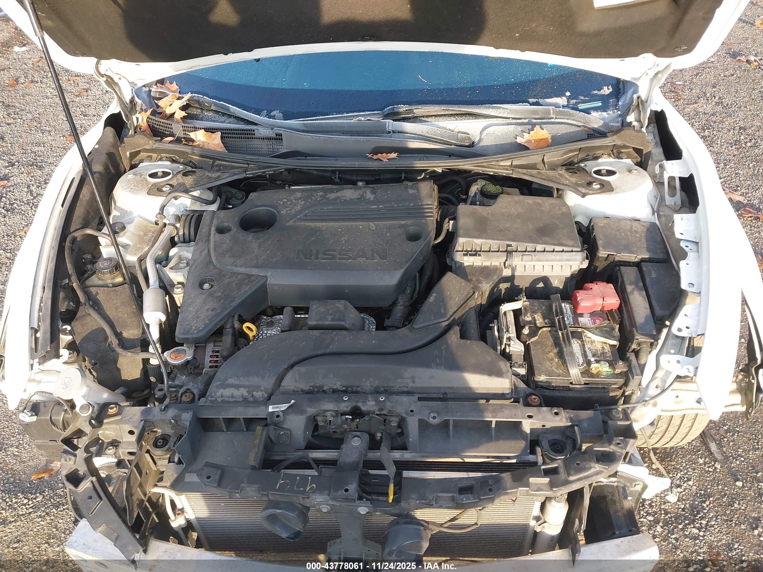NISSAN ALTIMA image 10