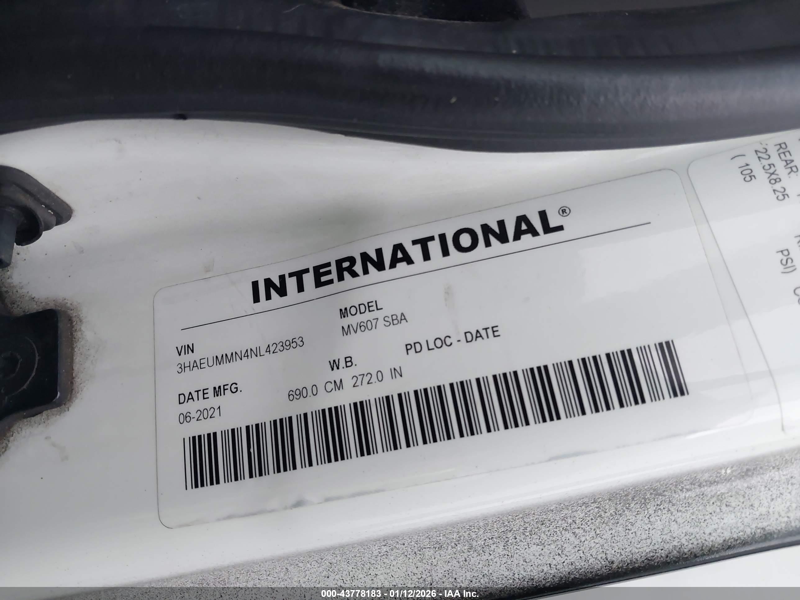 INTERNATIONAL MV image 9