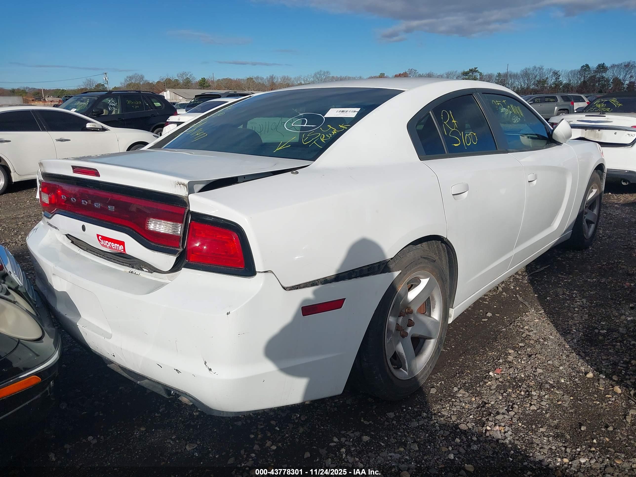 DODGE CHARGER image 4