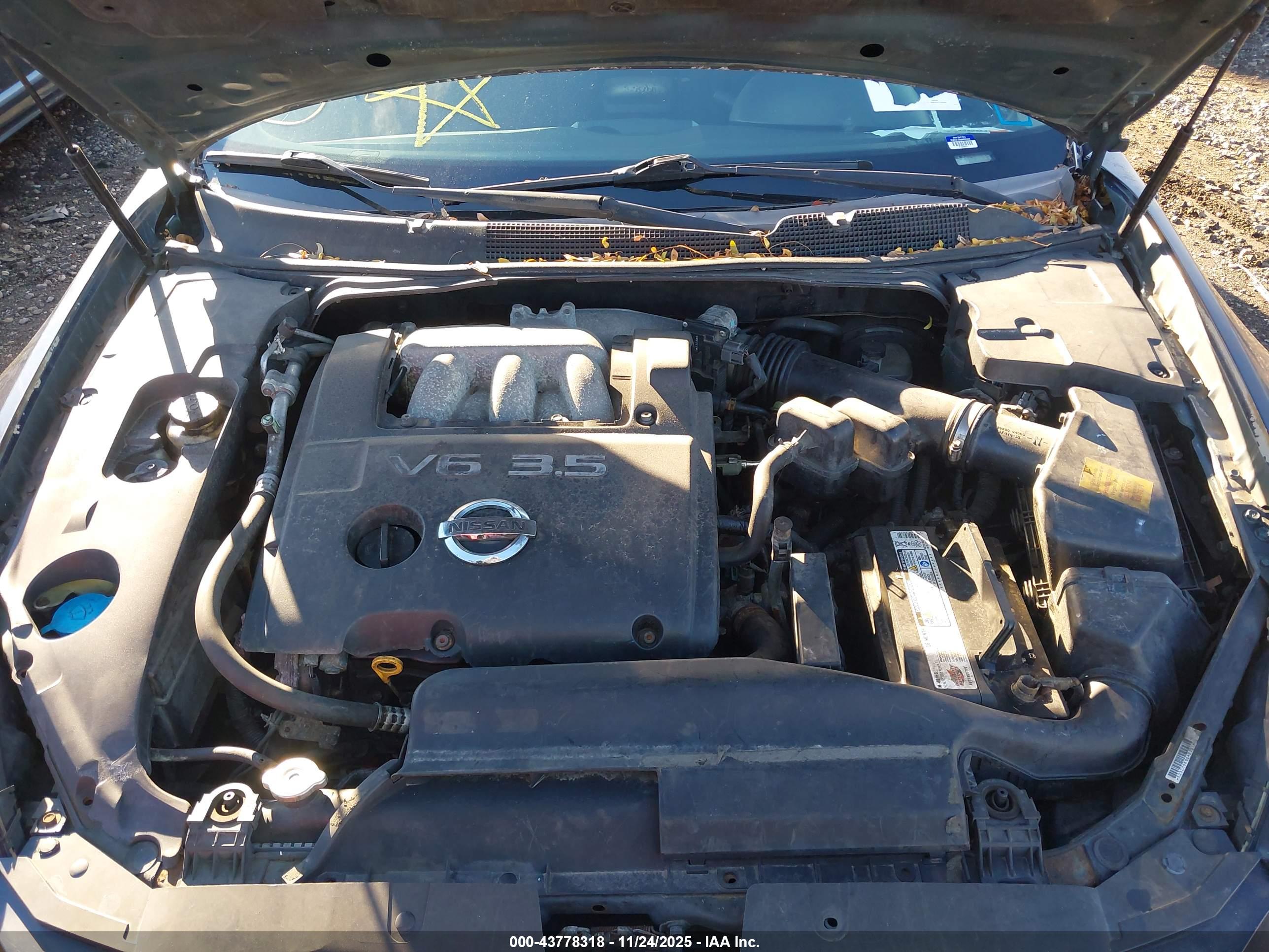 NISSAN MAXIMA image 10
