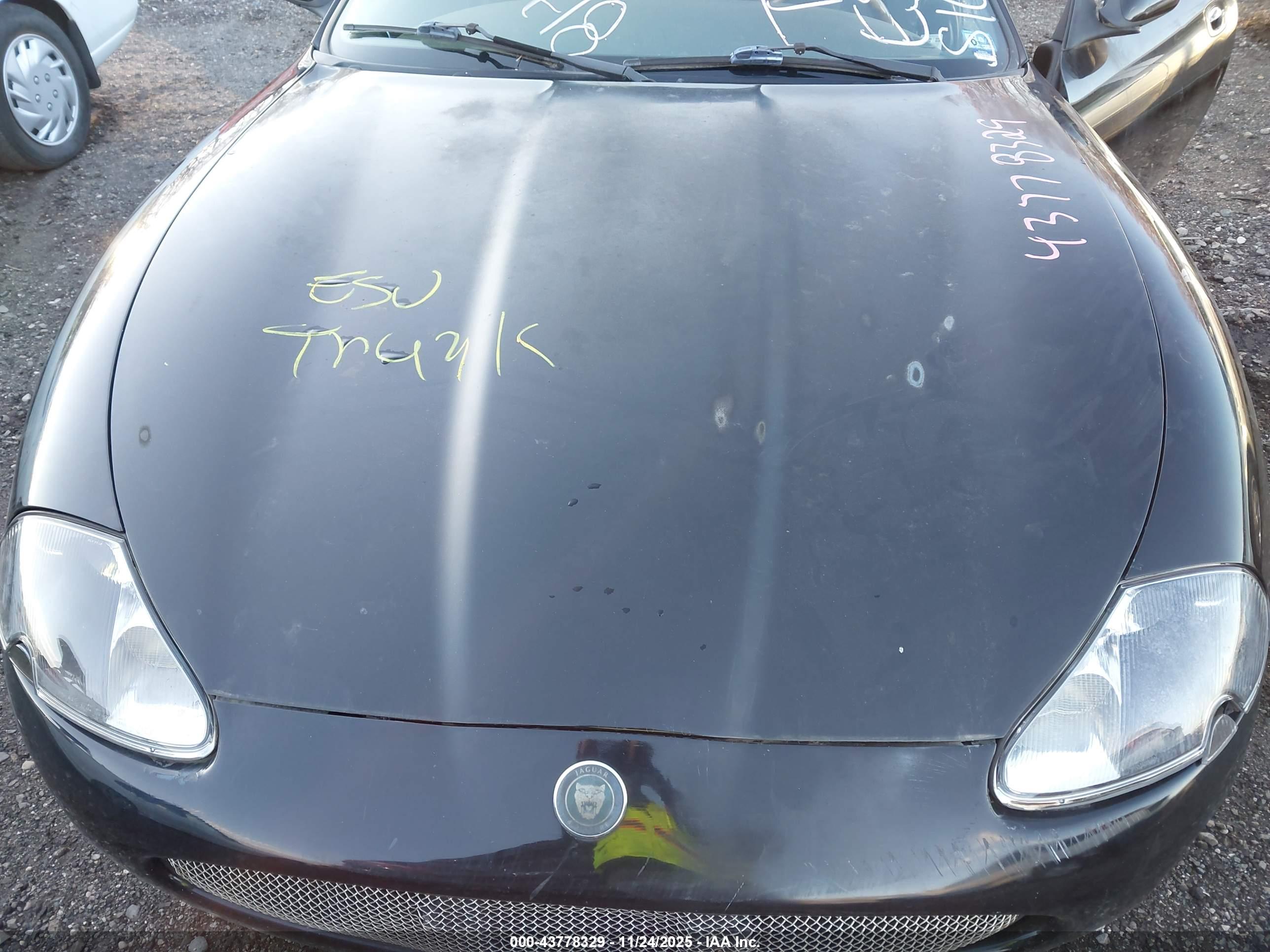JAGUAR XK8 image 10