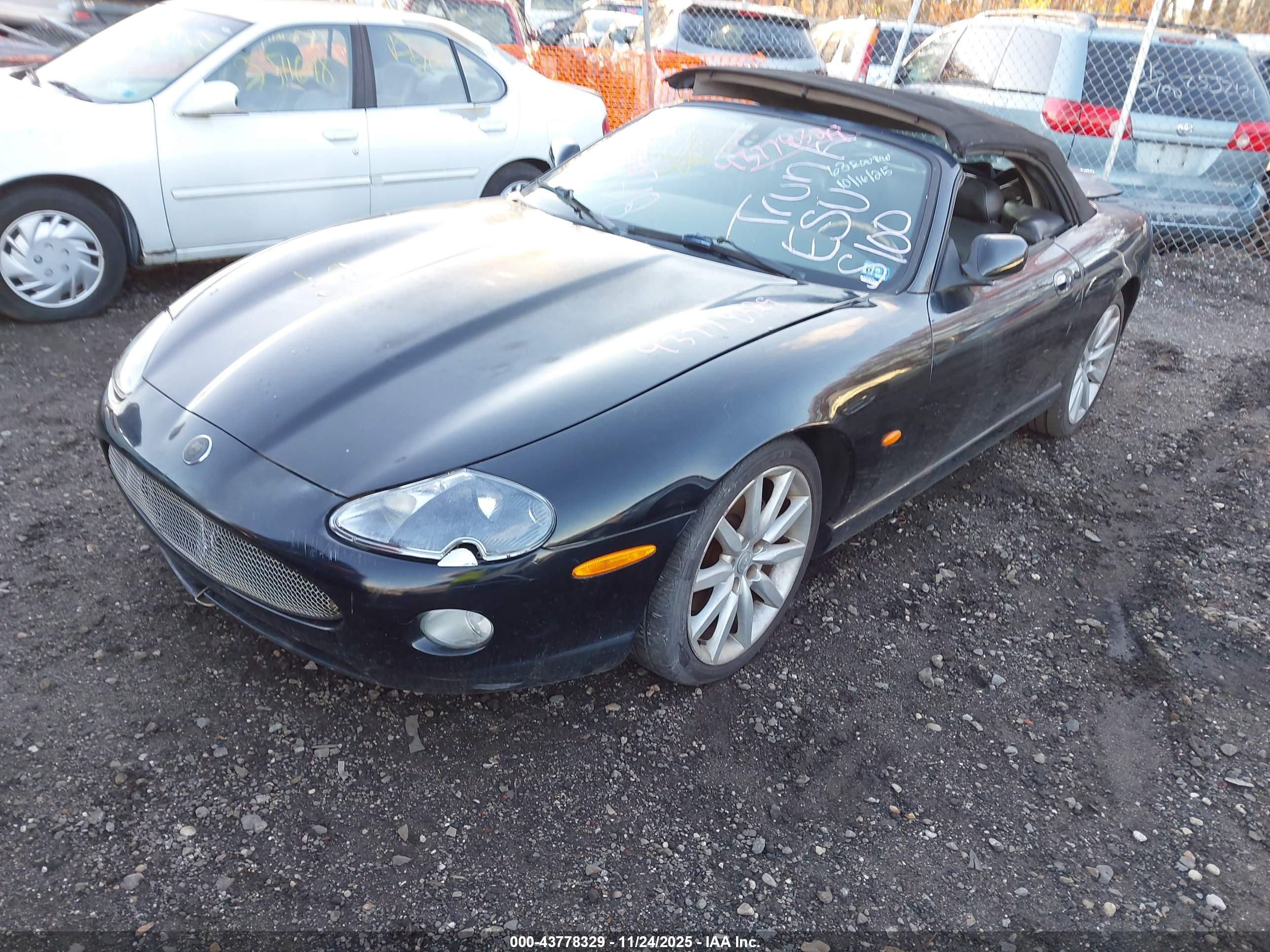 JAGUAR XK8 image 2