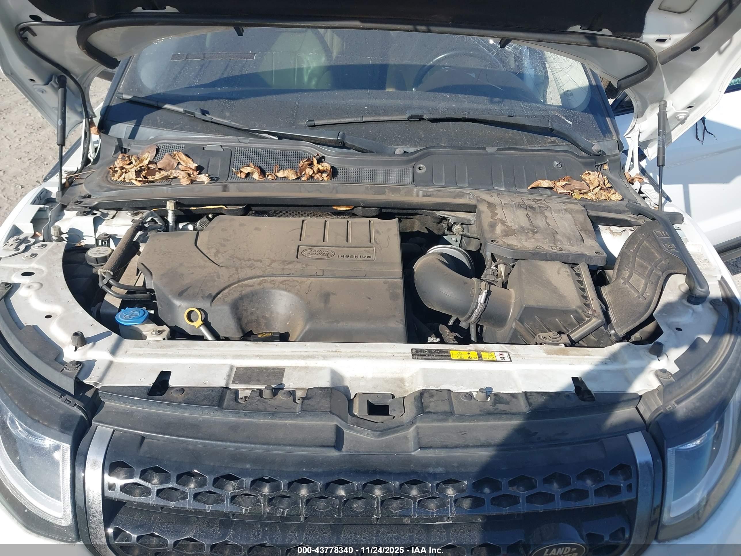 LAND ROVER image 10