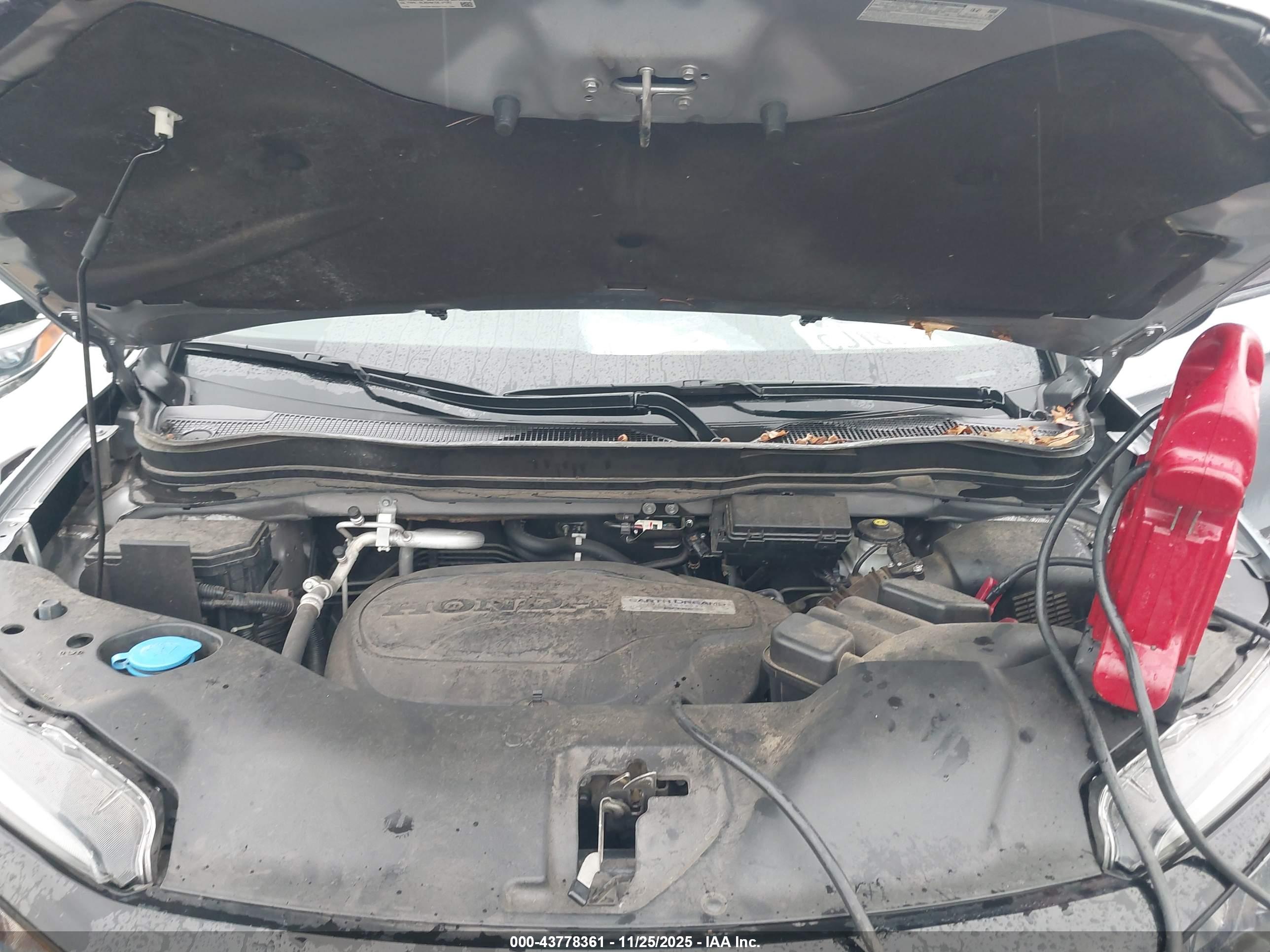 HONDA PASSPORT image 10