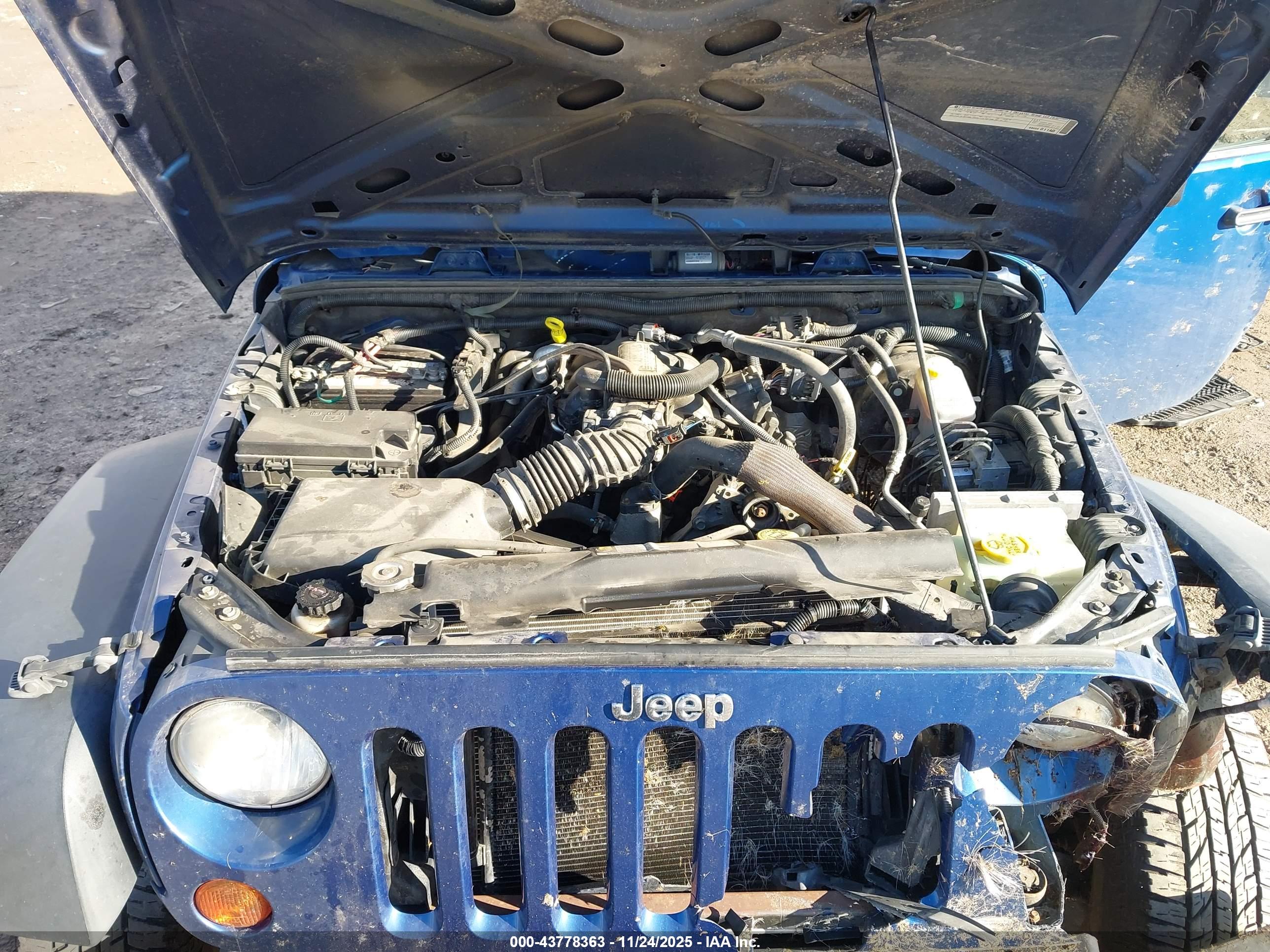 JEEP WRANGLER image 10