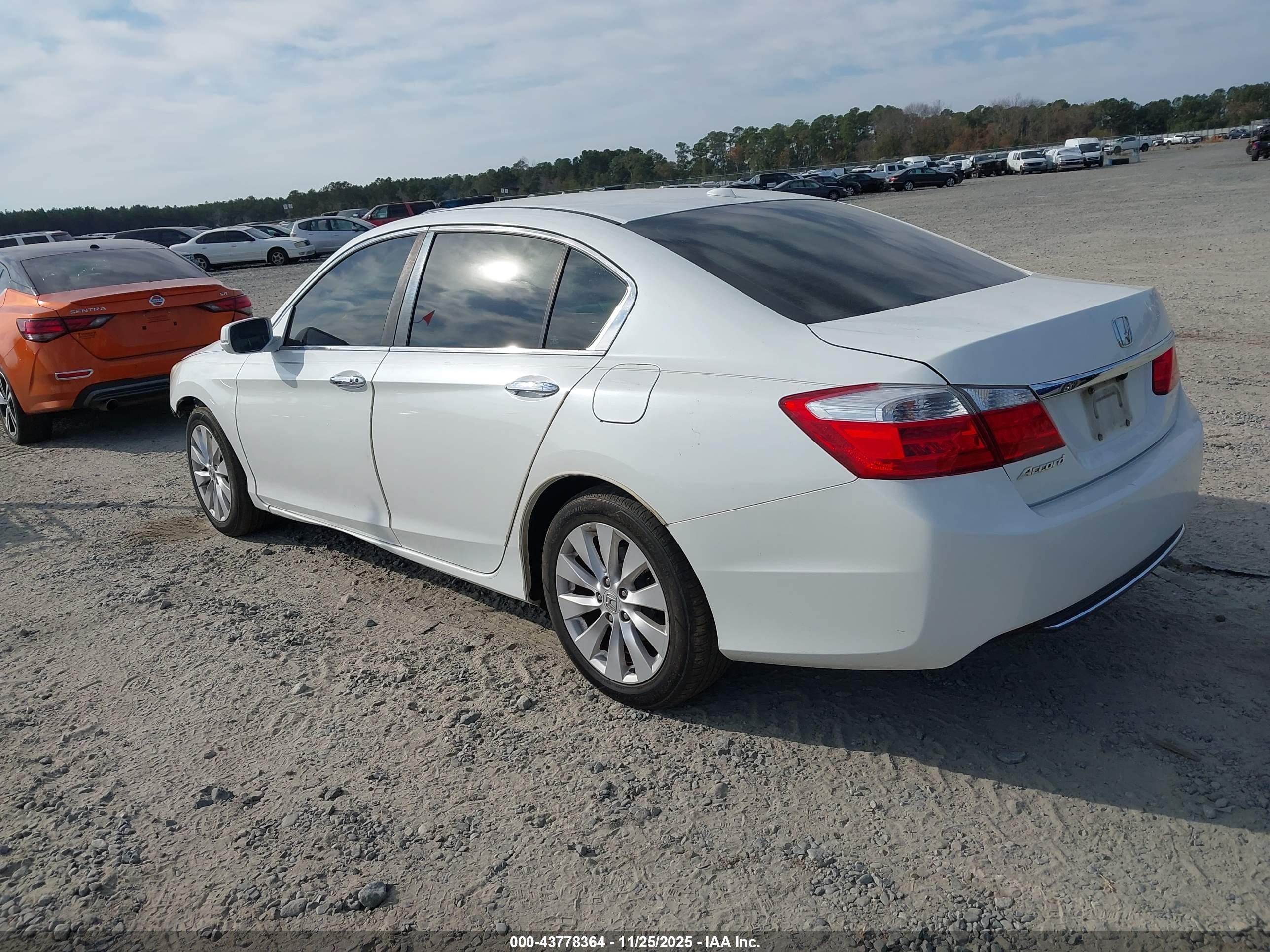 HONDA ACCORD image 3