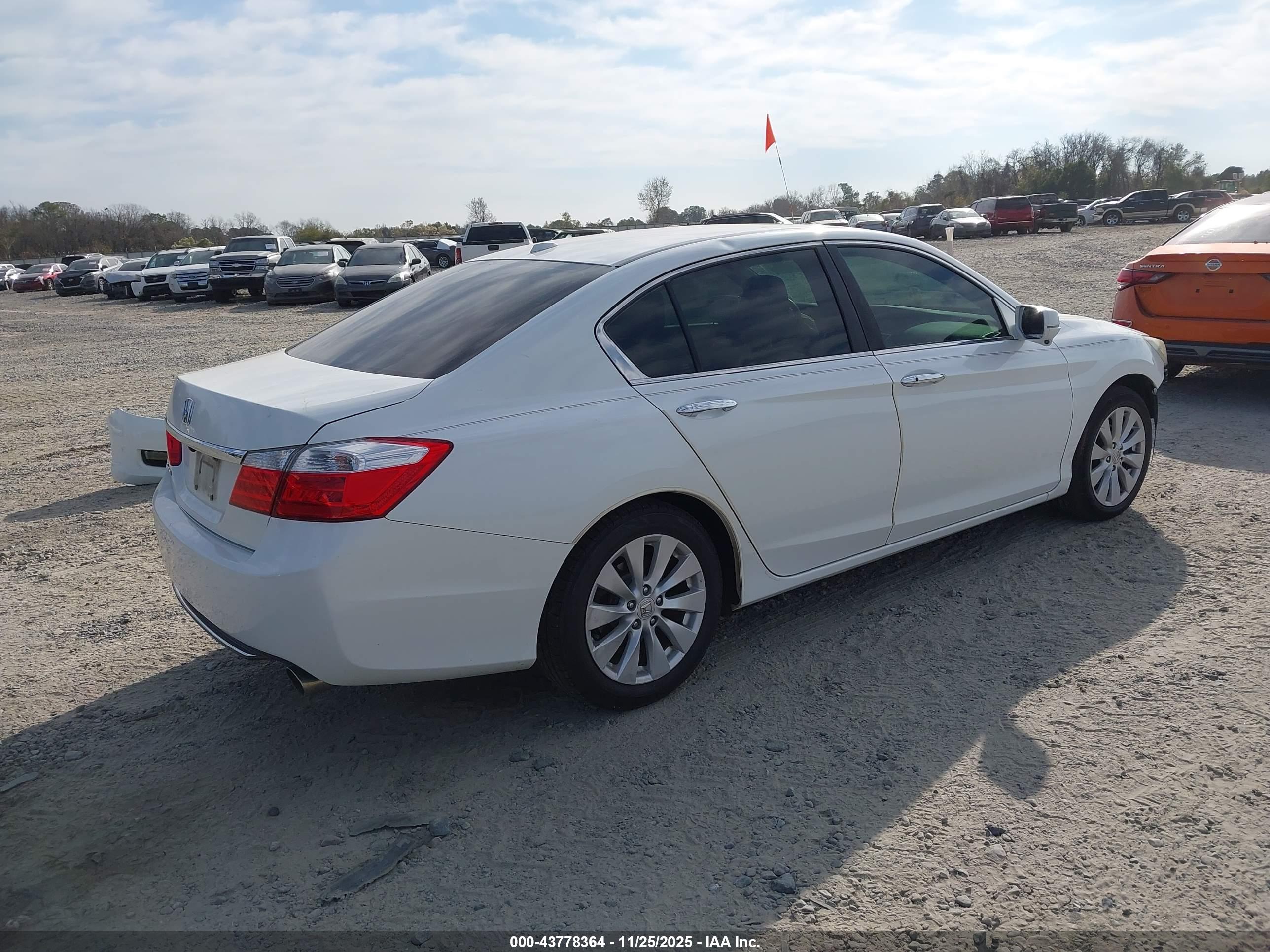 HONDA ACCORD image 4