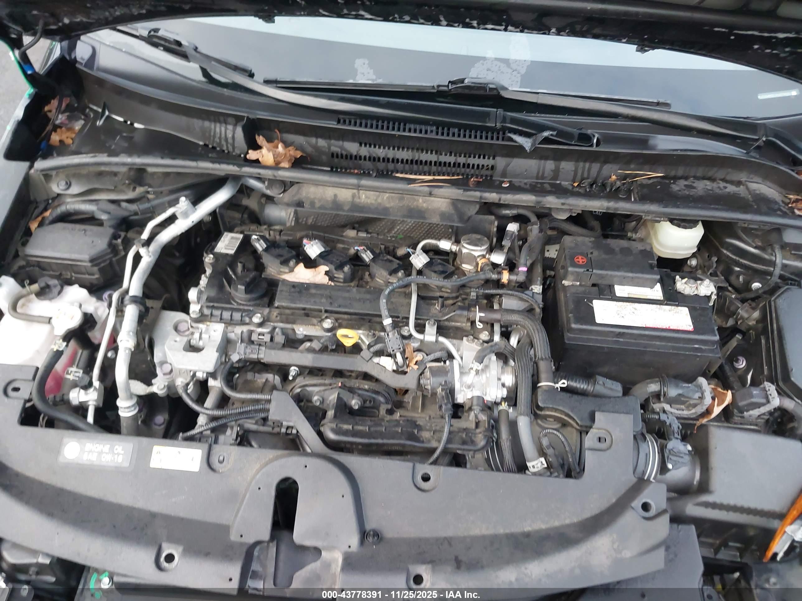 TOYOTA COROLLA image 10