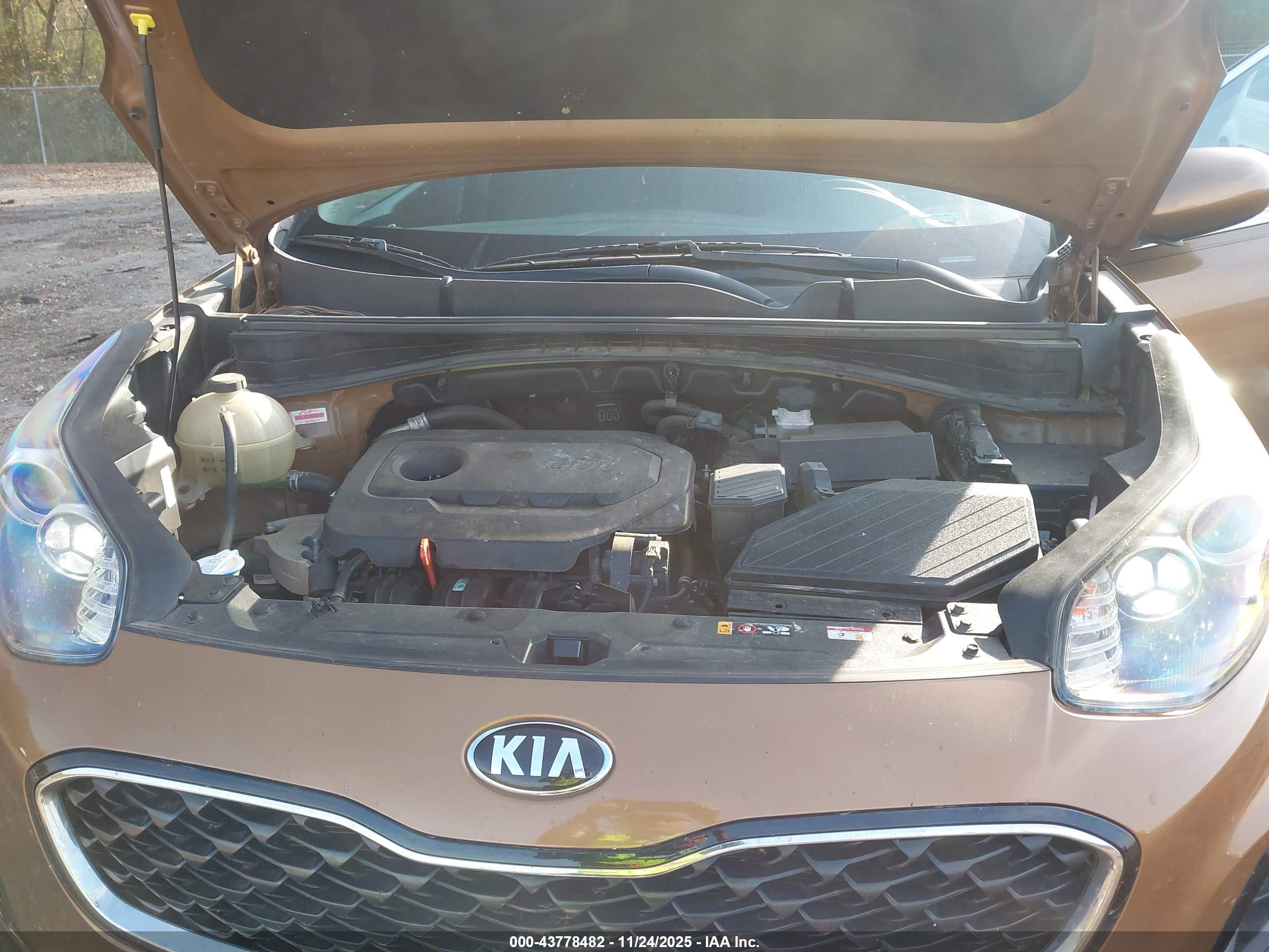 KIA SPORTAGE image 10