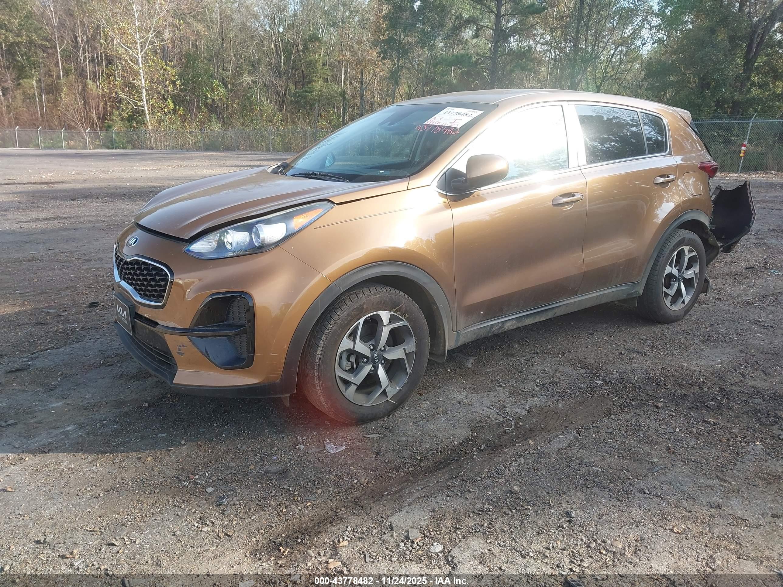 KIA SPORTAGE image 2