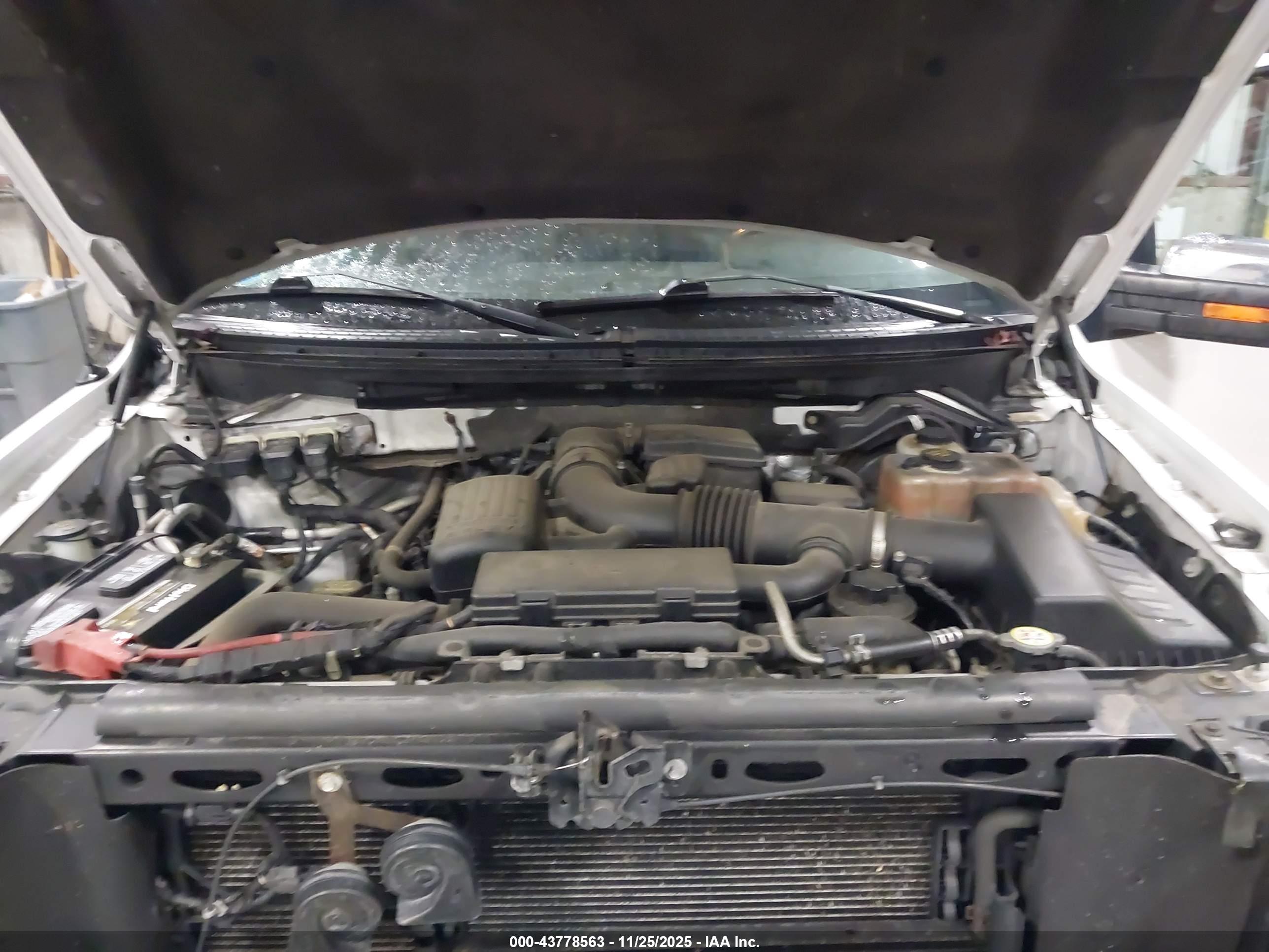 FORD F-150 image 10