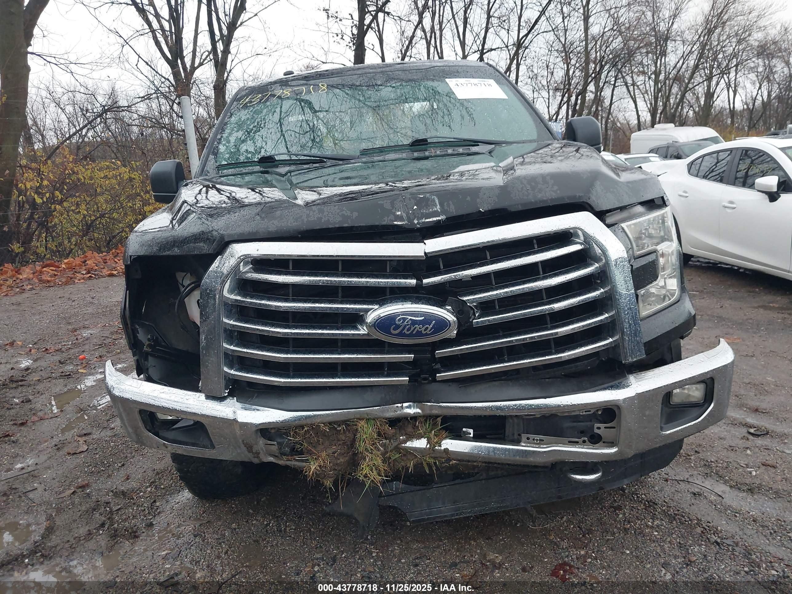 FORD F-150 image 6