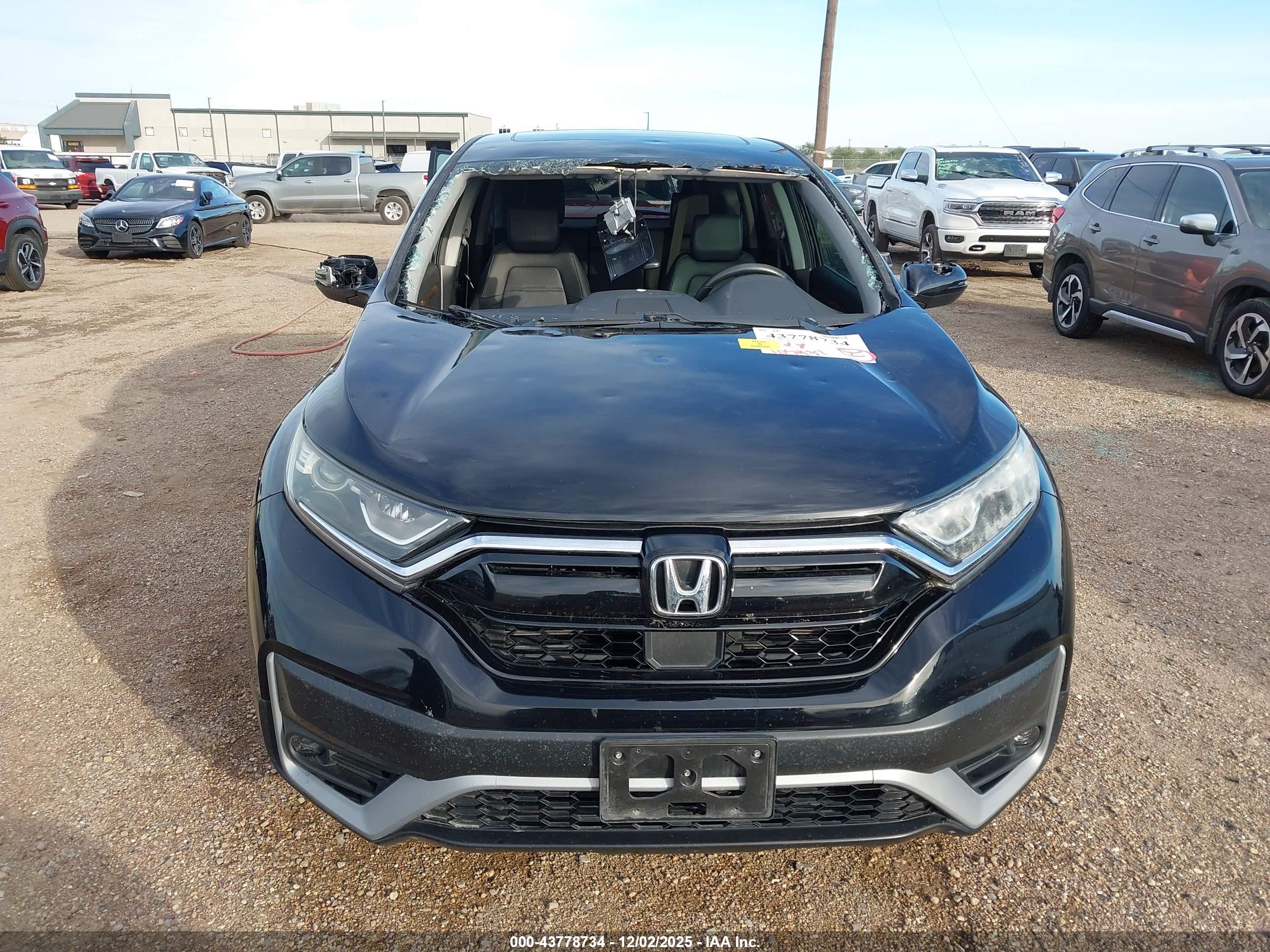 HONDA CR-V image 6