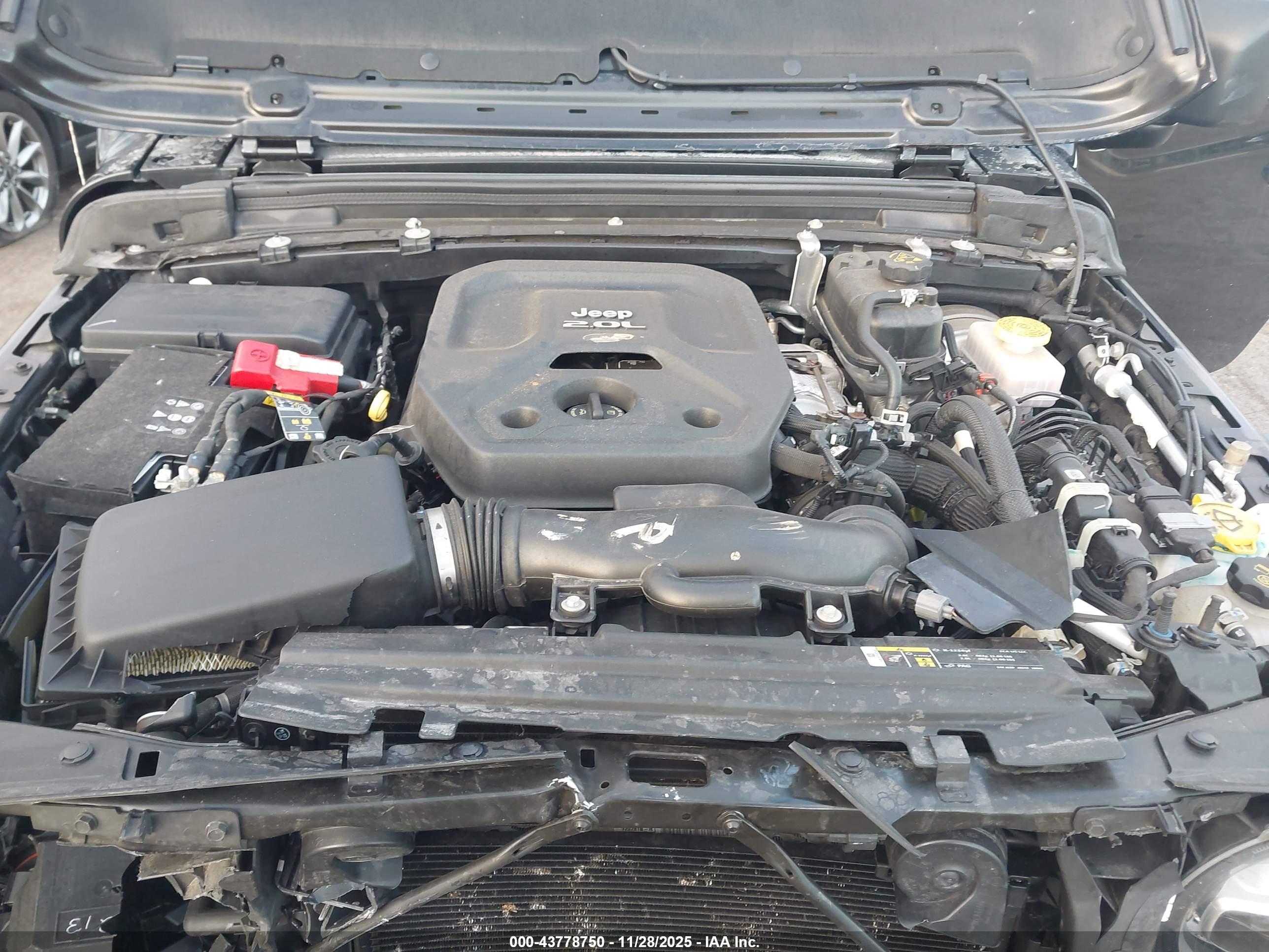 JEEP WRANGLER image 10