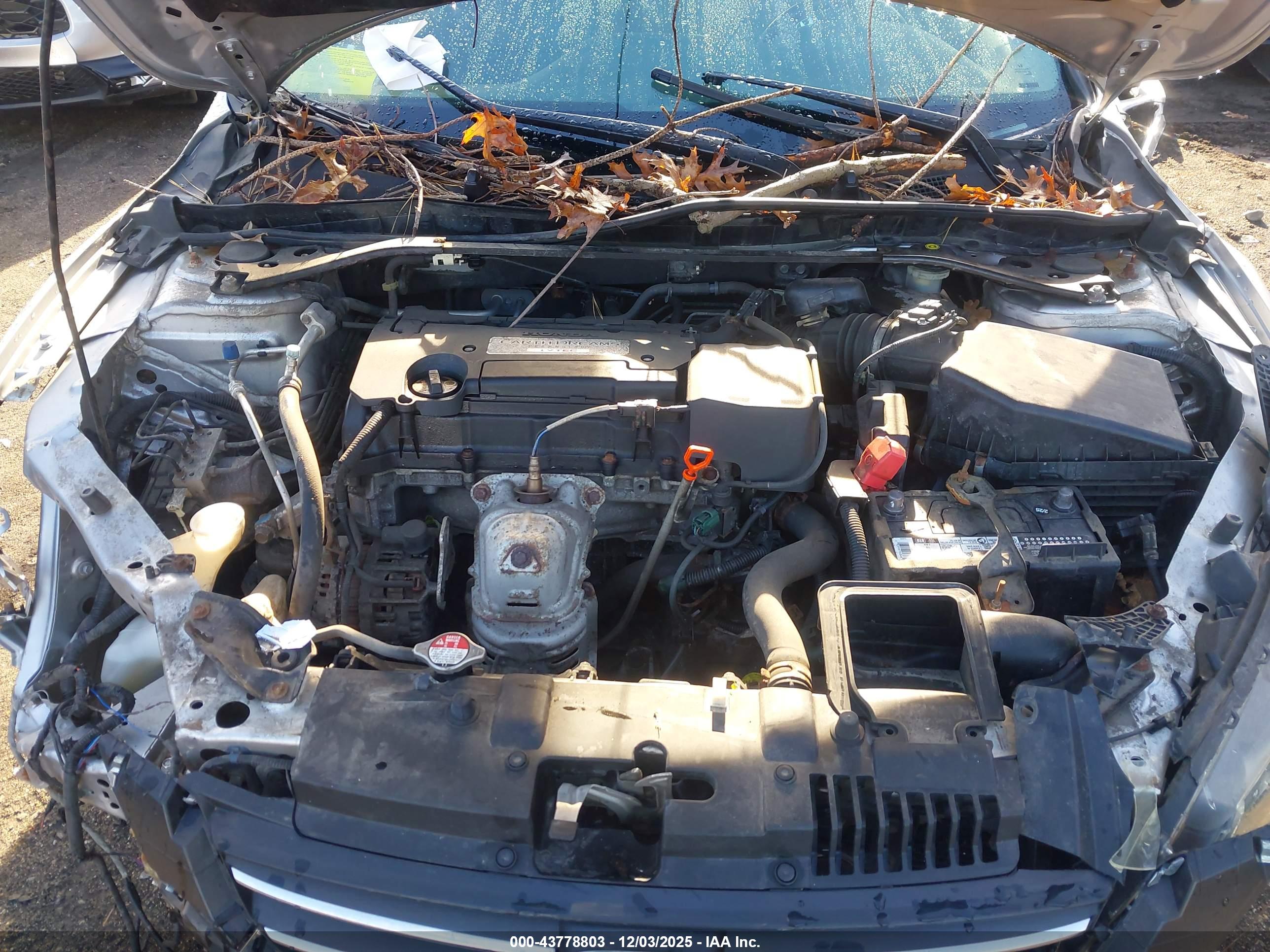 HONDA ACCORD image 10