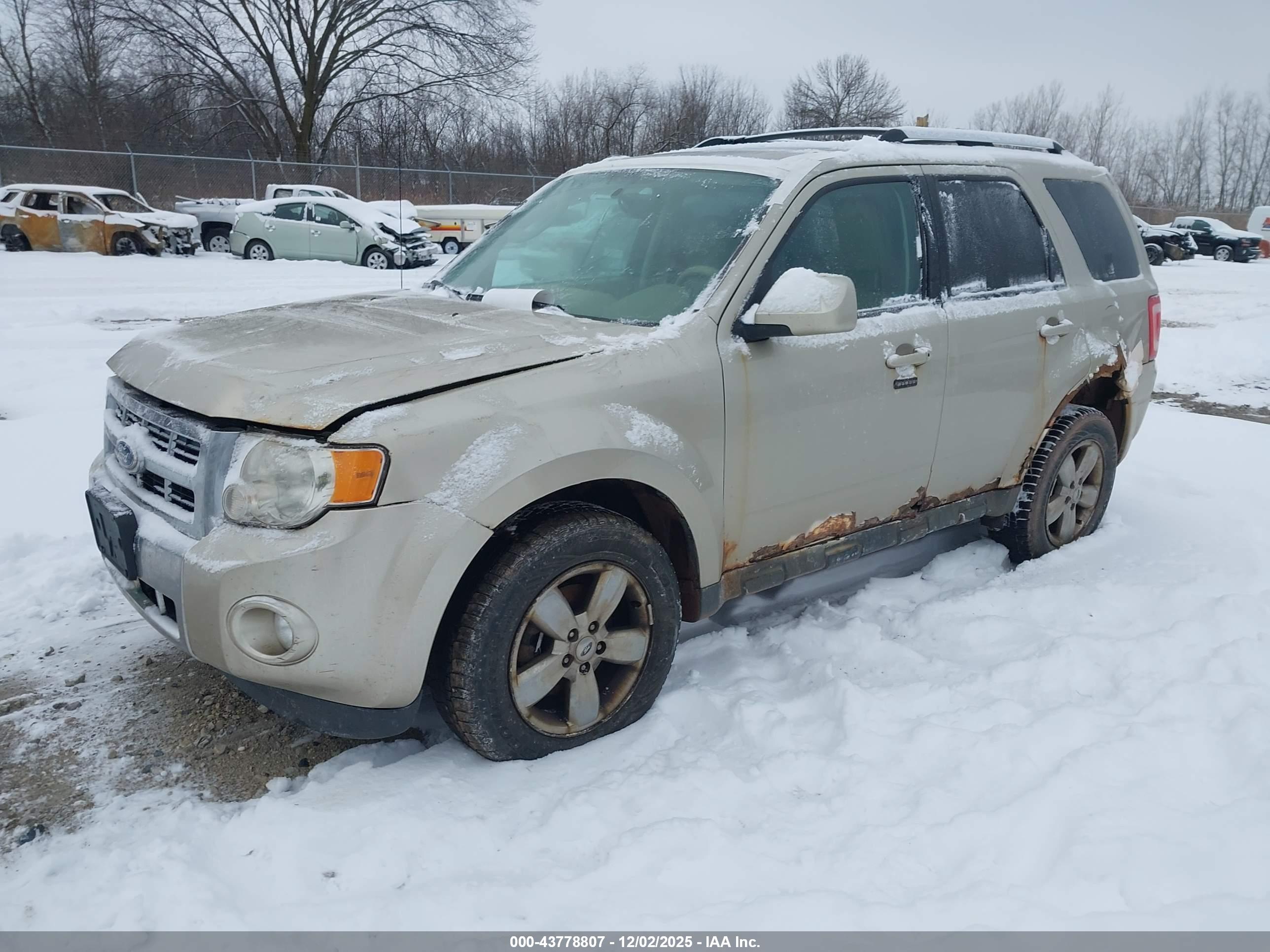 FORD ESCAPE image 2