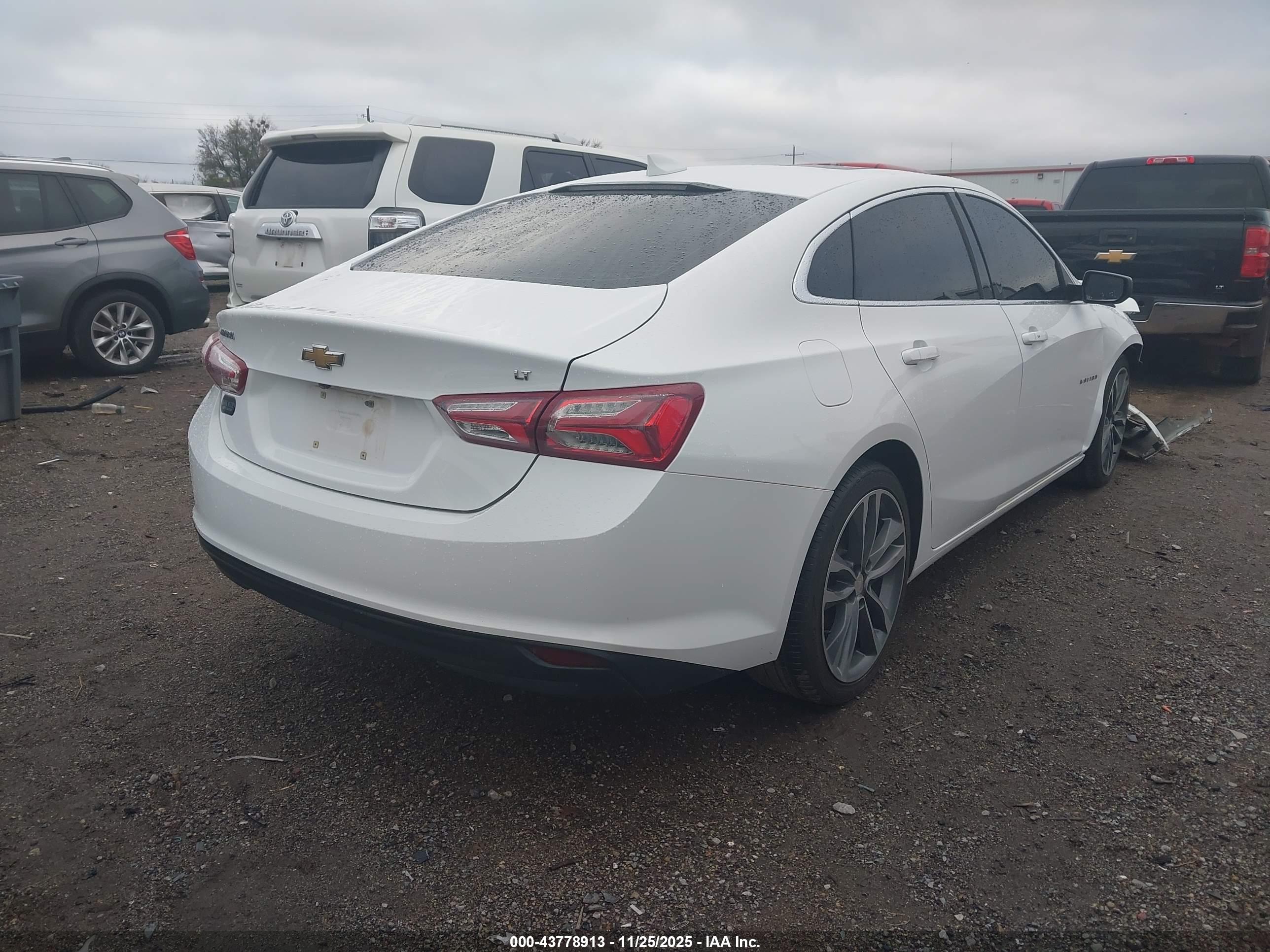 CHEVROLET MALIBU image 4
