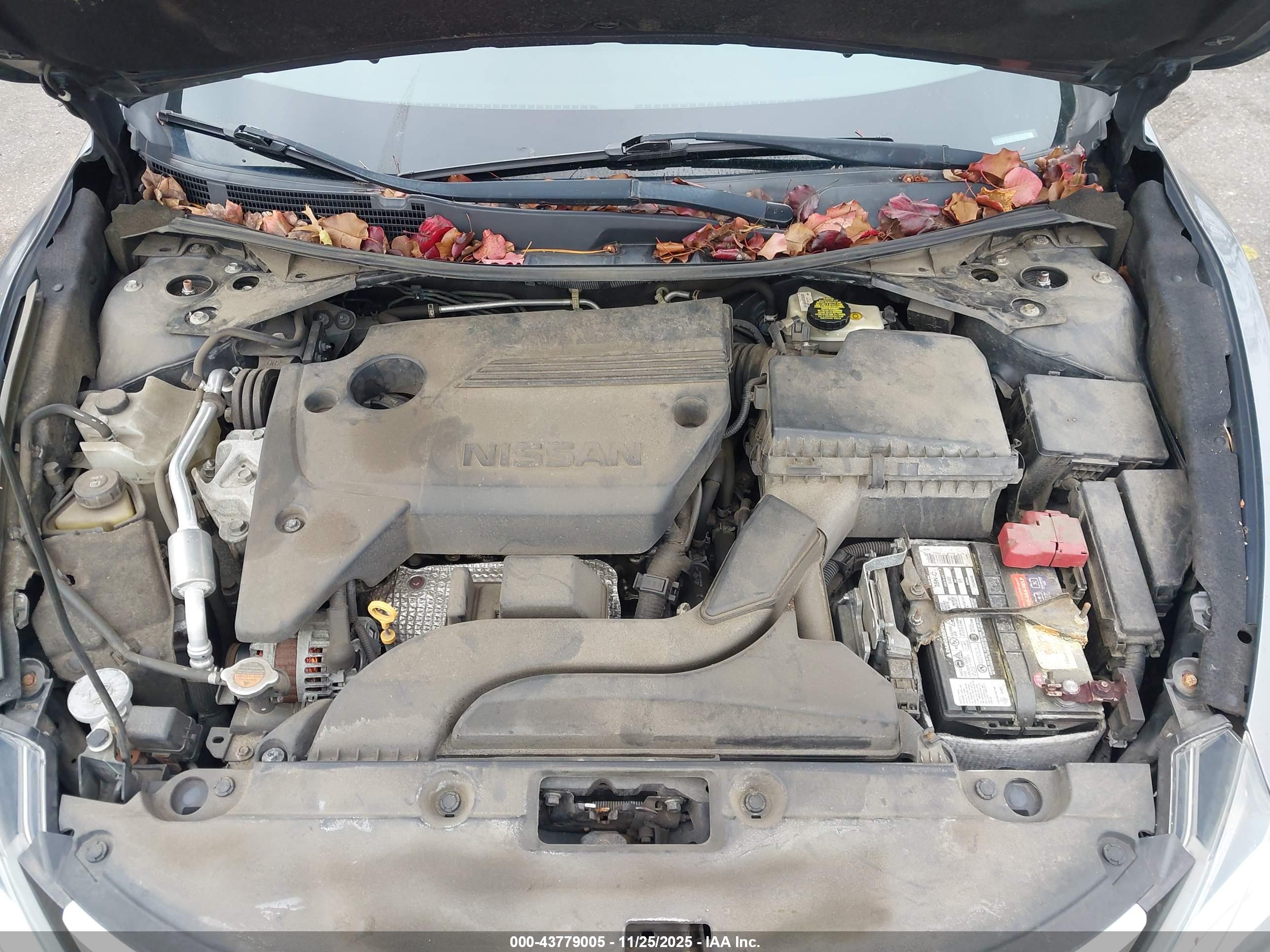 NISSAN ALTIMA image 10