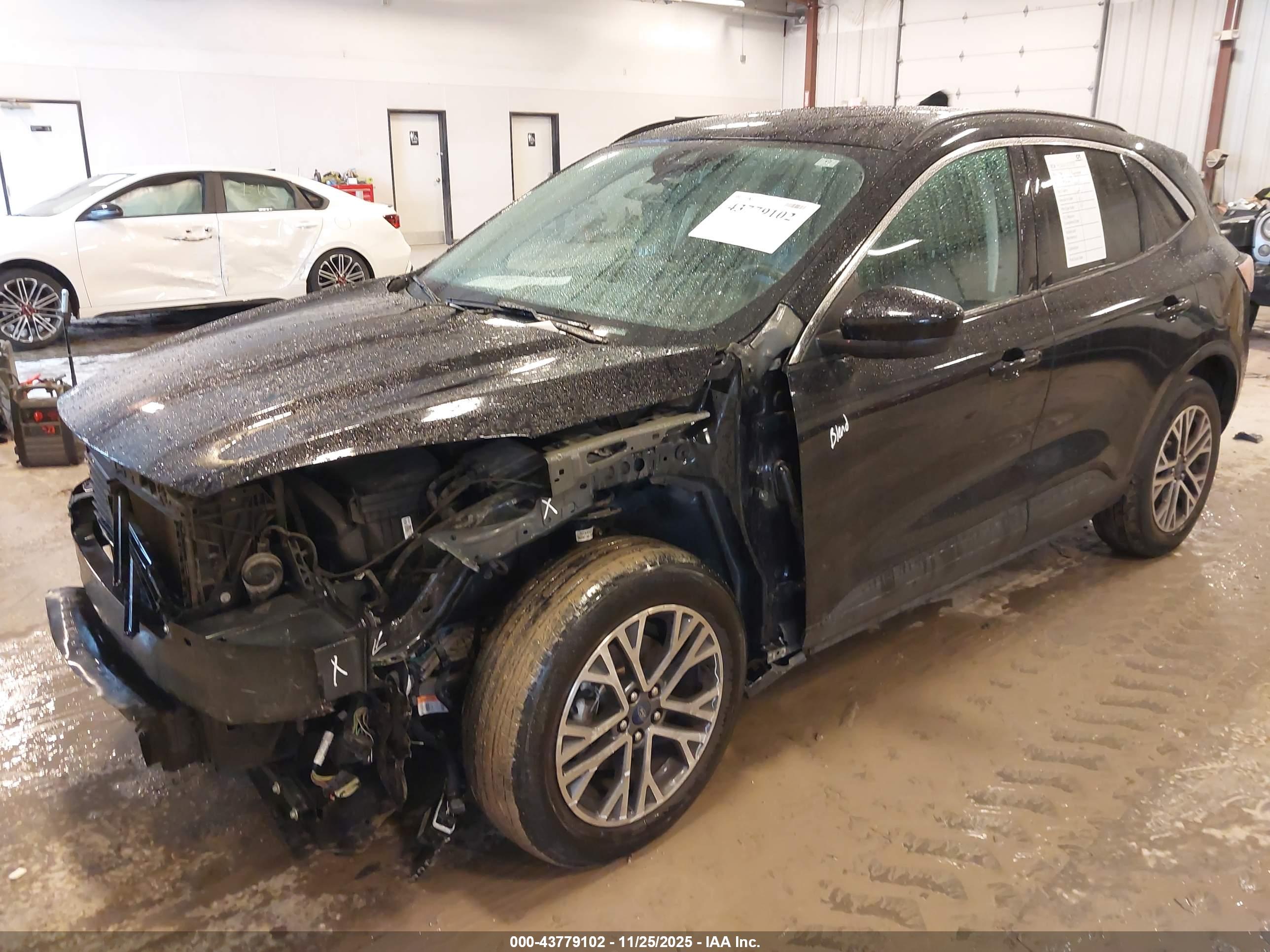 FORD ESCAPE image 2
