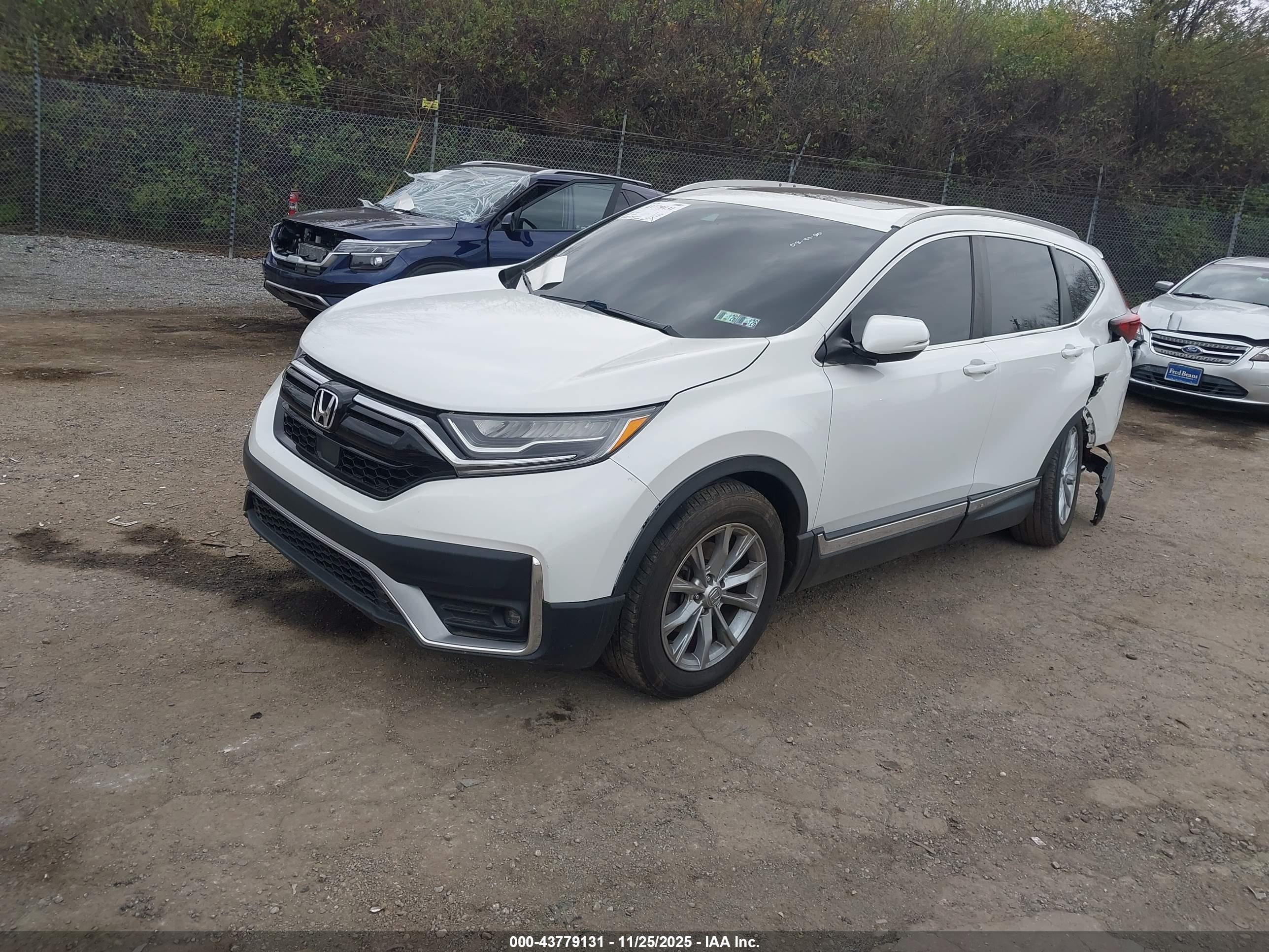 HONDA CR-V image 2