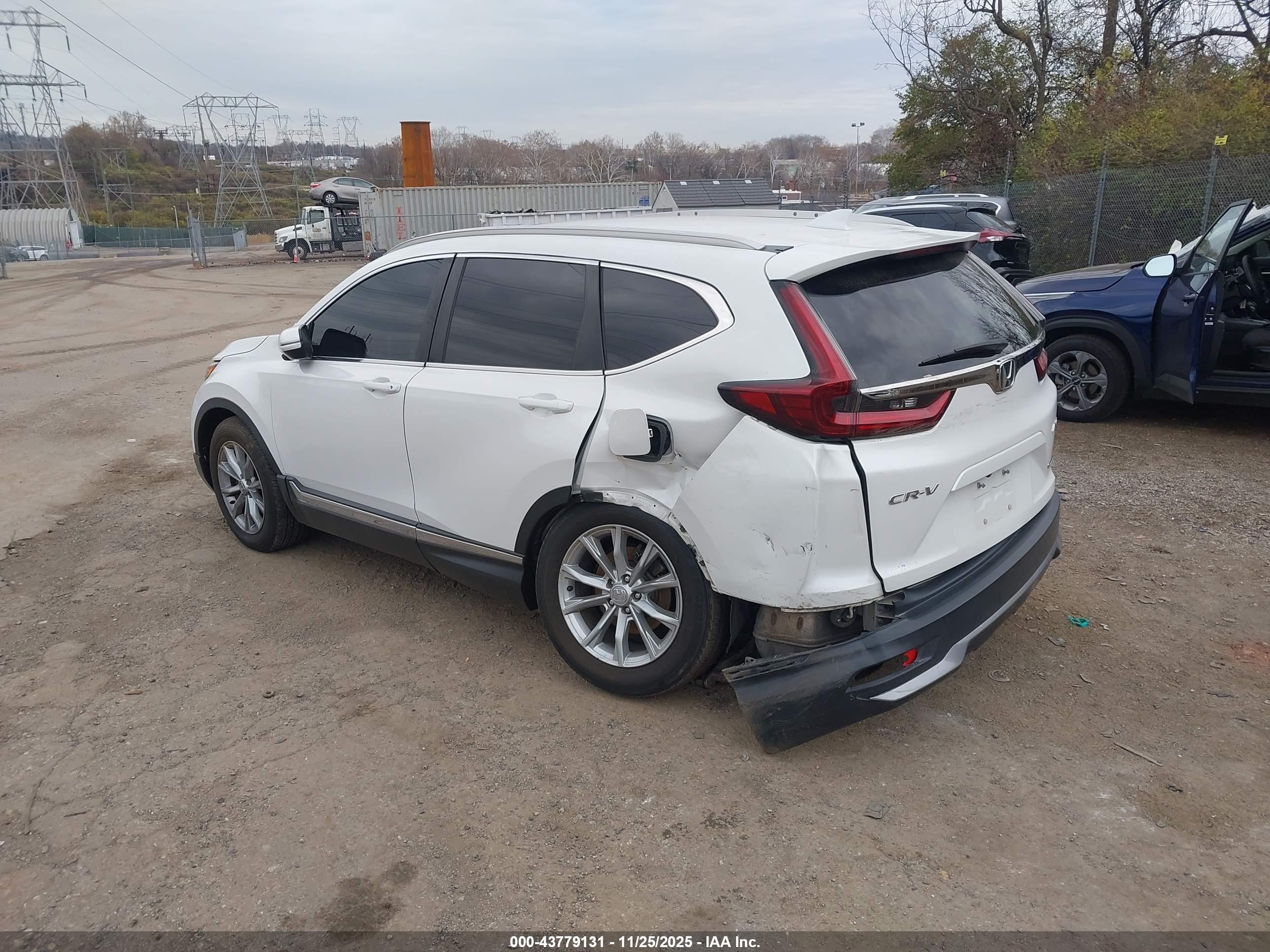 HONDA CR-V image 3
