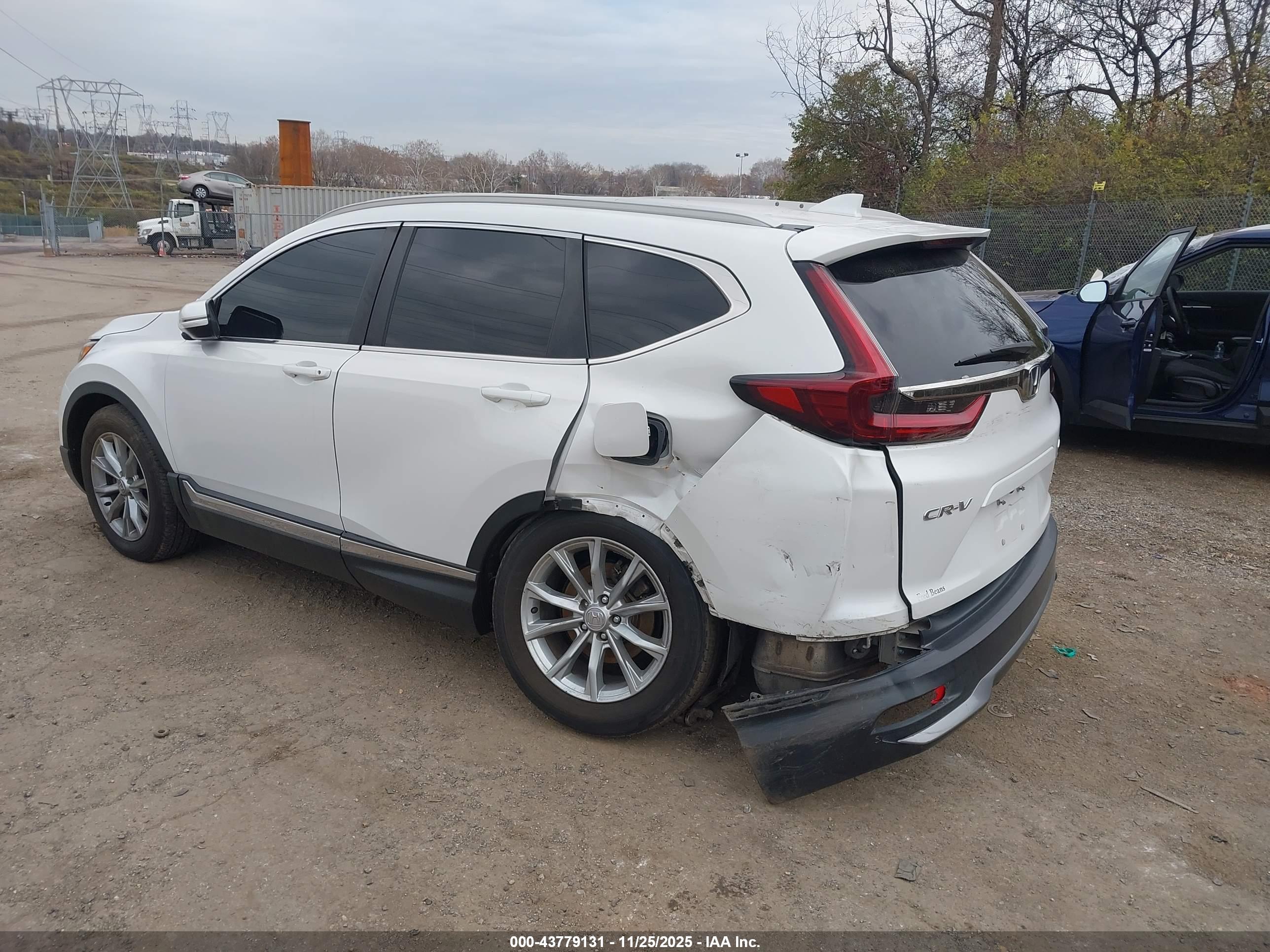 HONDA CR-V image 6