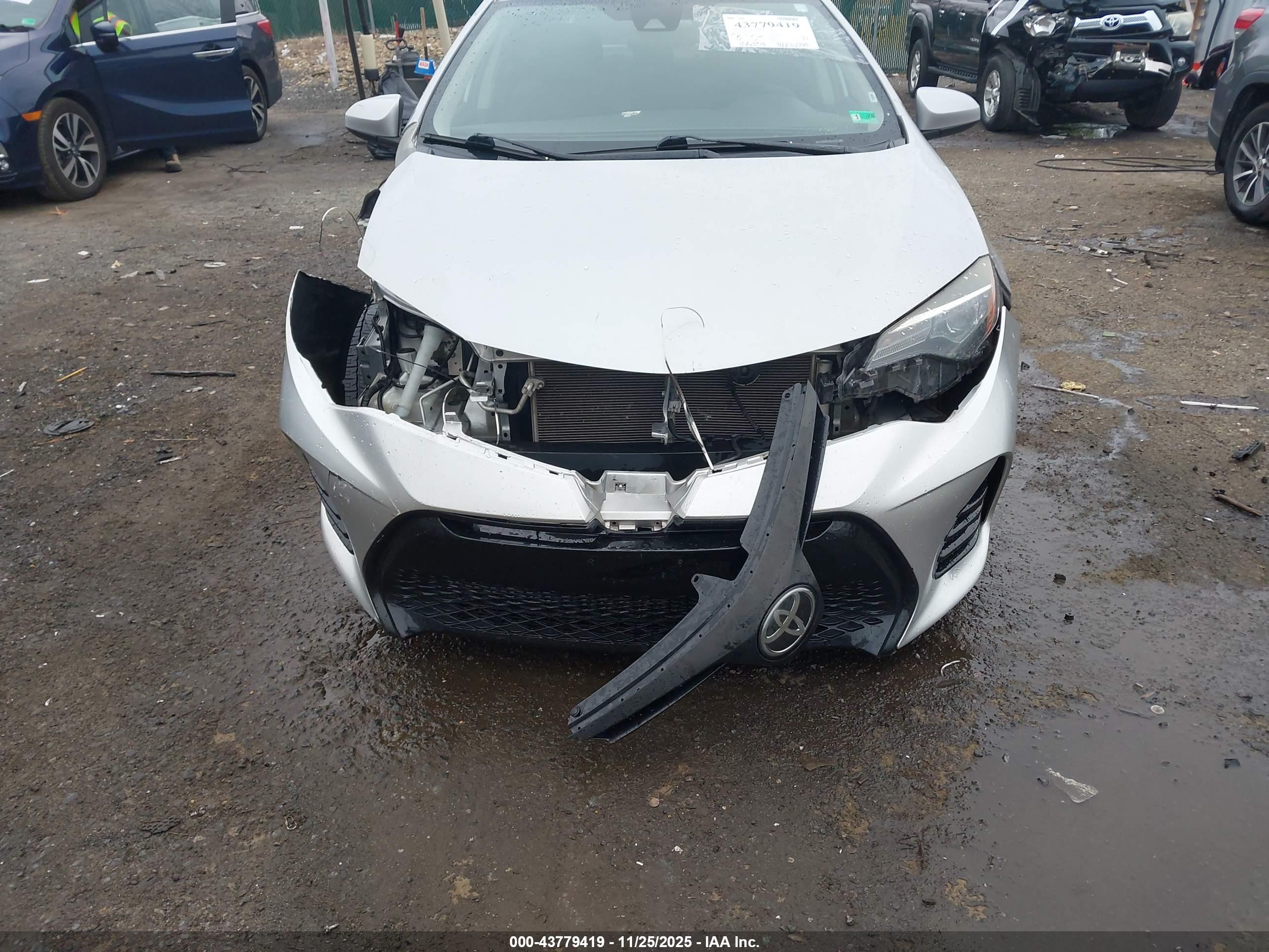 TOYOTA COROLLA image 6