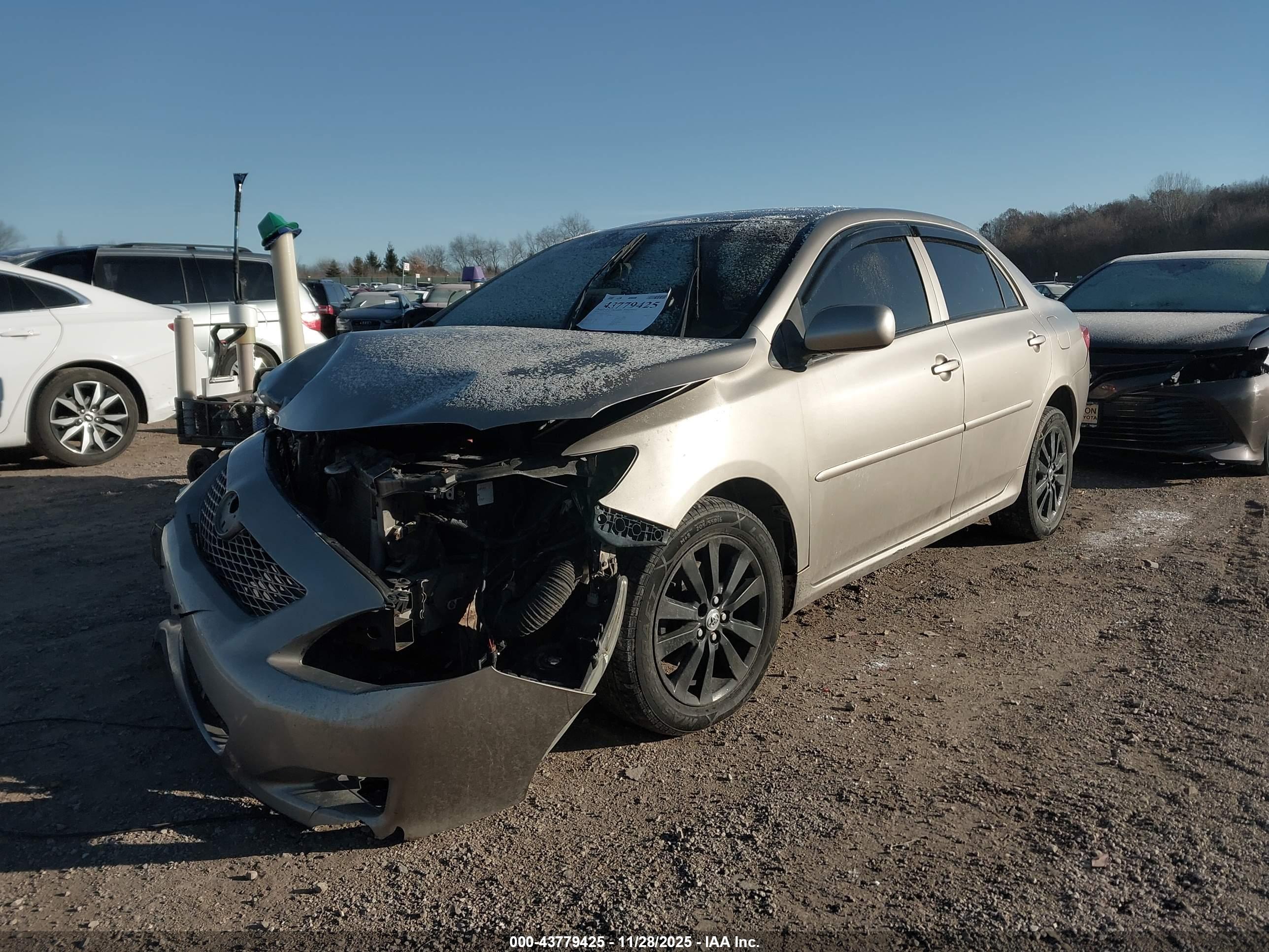 TOYOTA COROLLA image 2