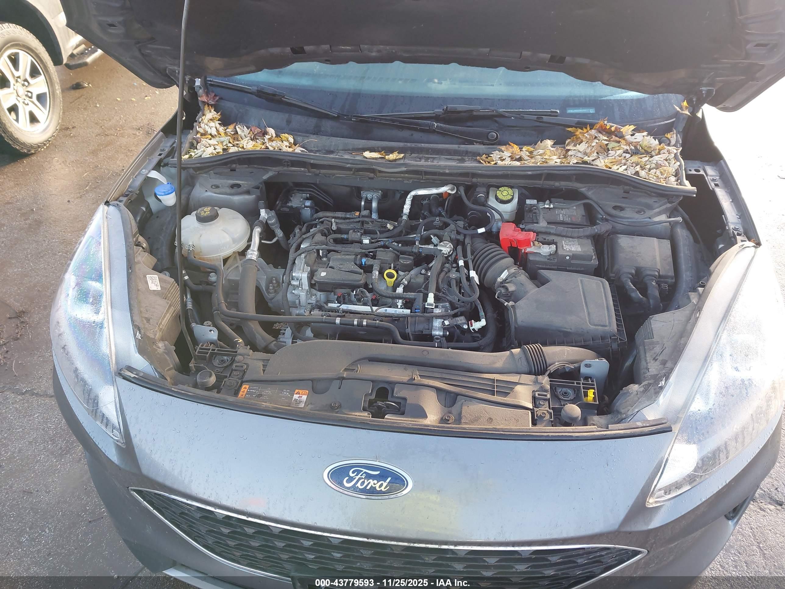 FORD ESCAPE image 10